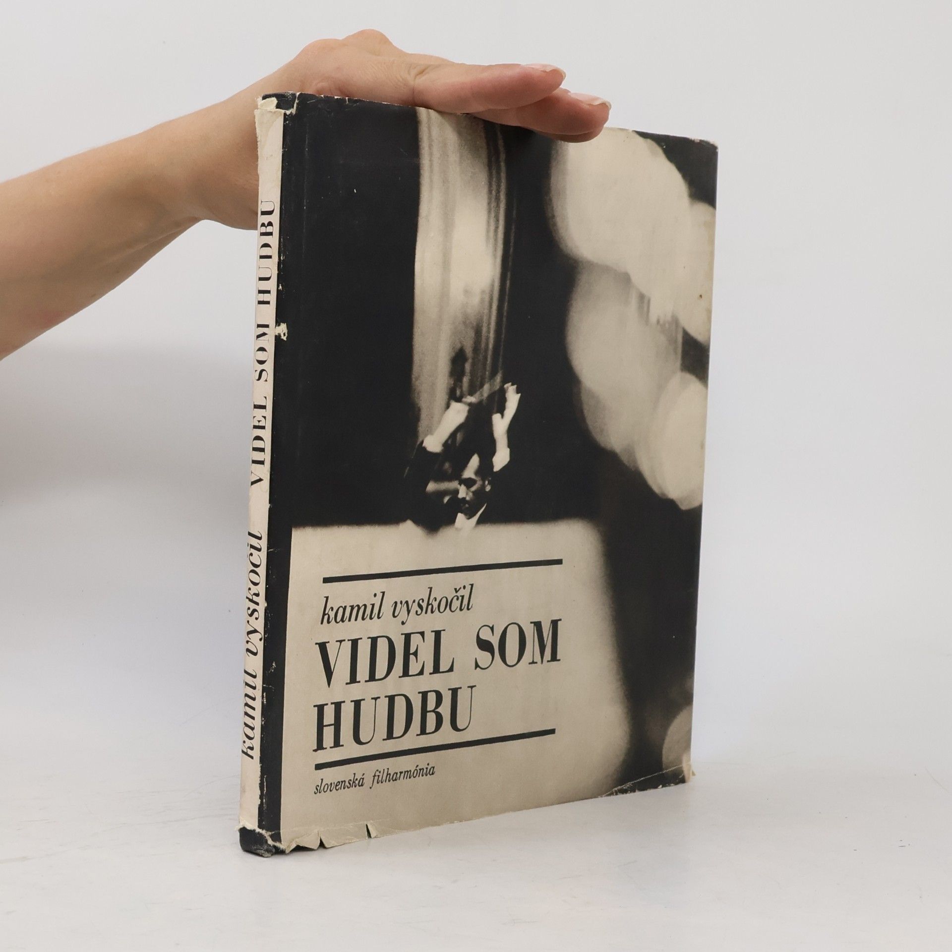 Kamil Vyskočil Videl som hudbu