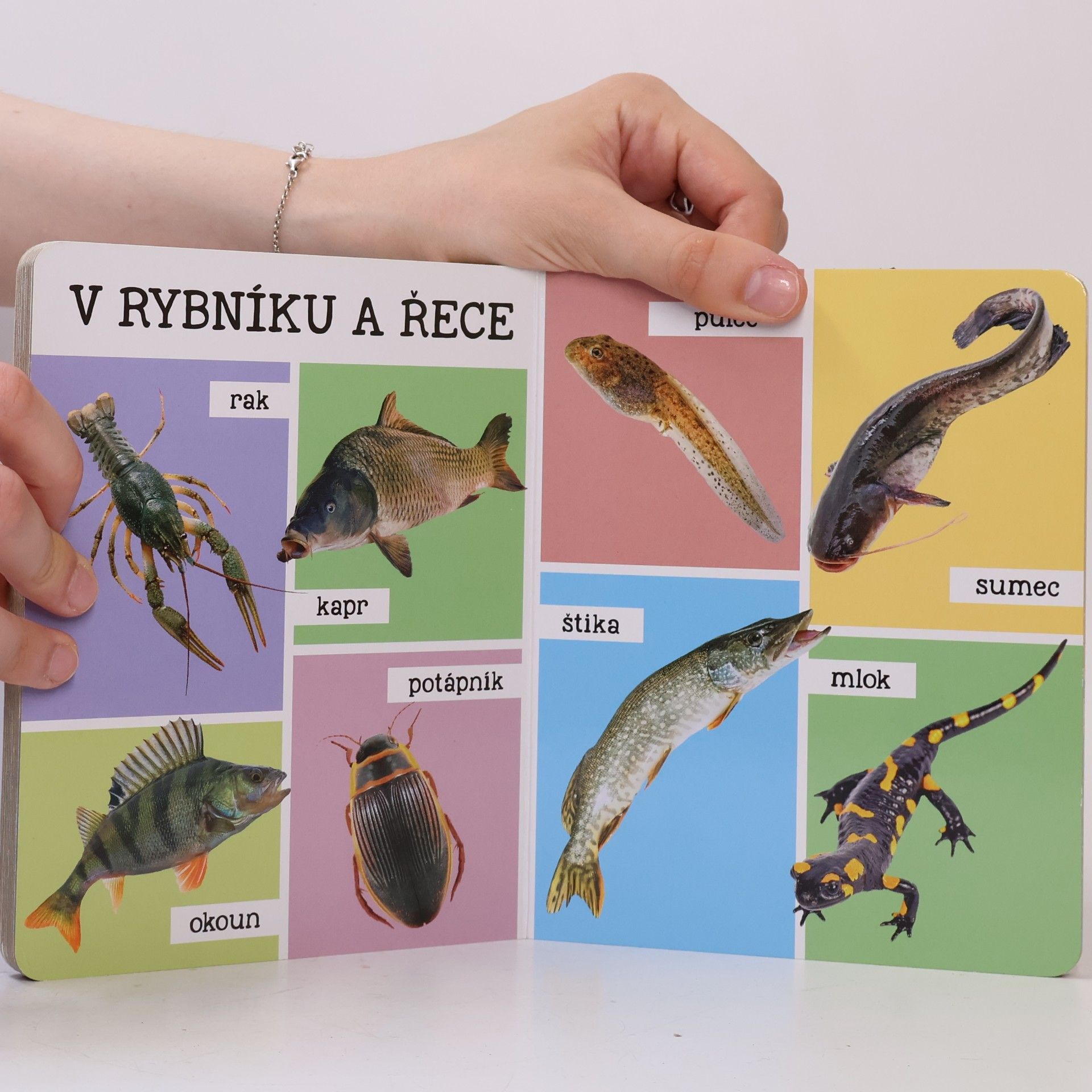 Various authors Mých prvních 100 zvířat