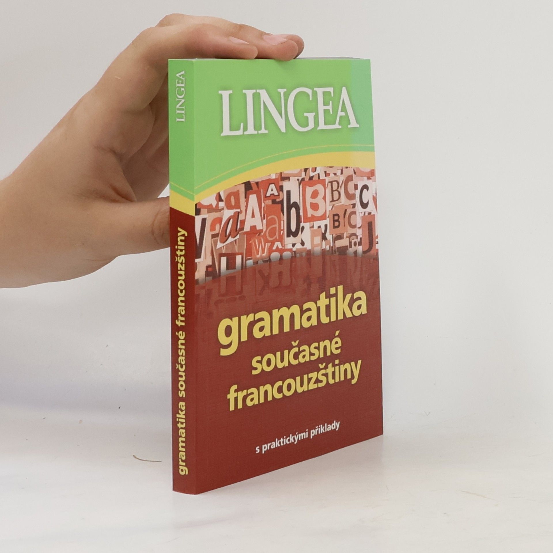 Autorenkollektiv Gramatika současné francouzštiny