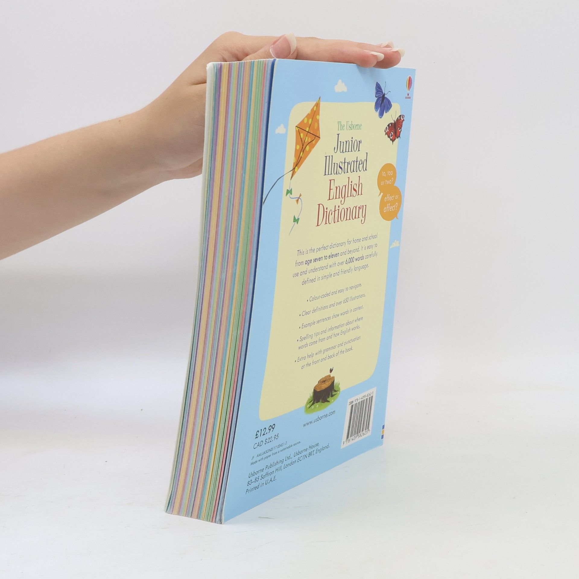 Felicity Brooks Junior Illustrated English Dictionary
