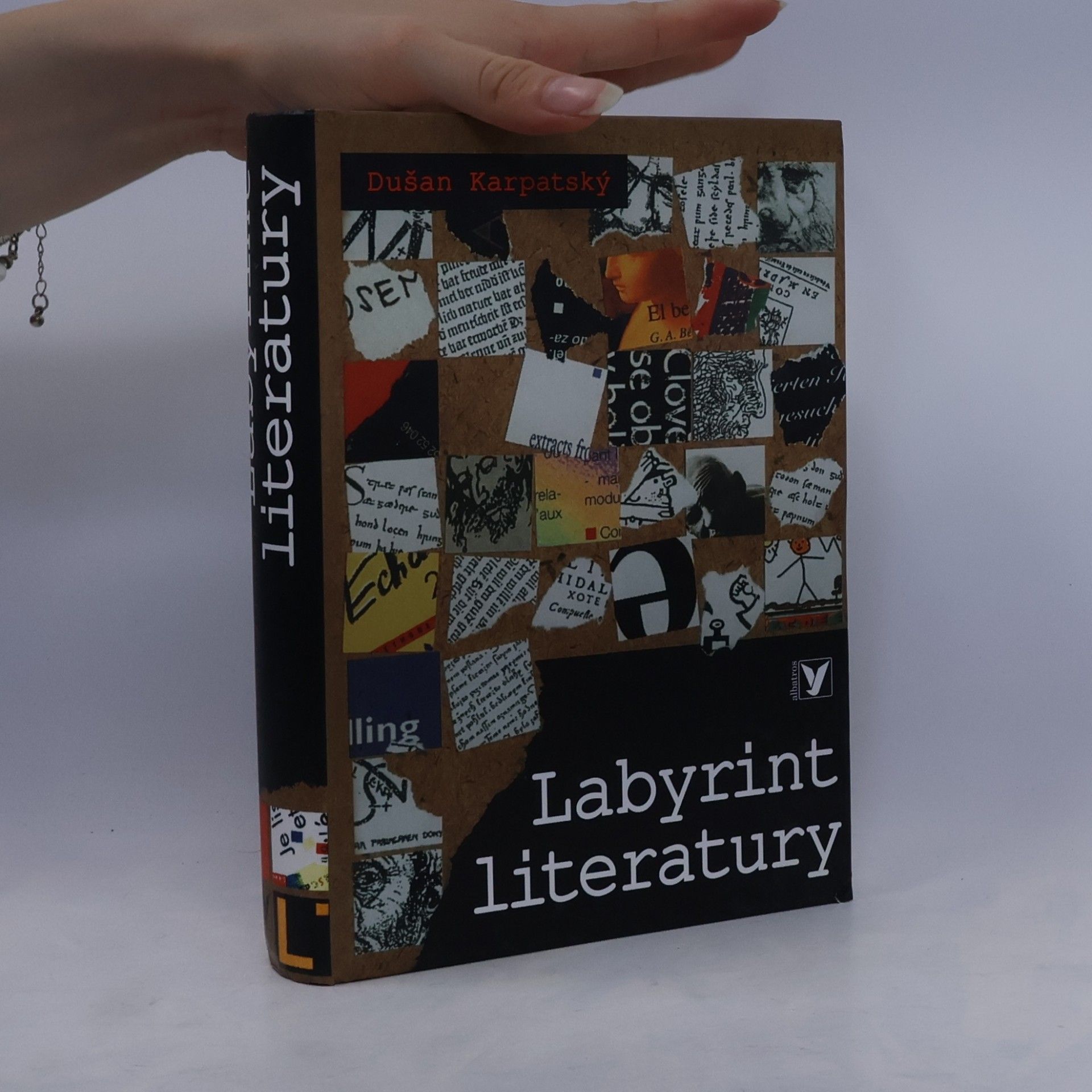 Dušan Karpatský Labyrint literatury