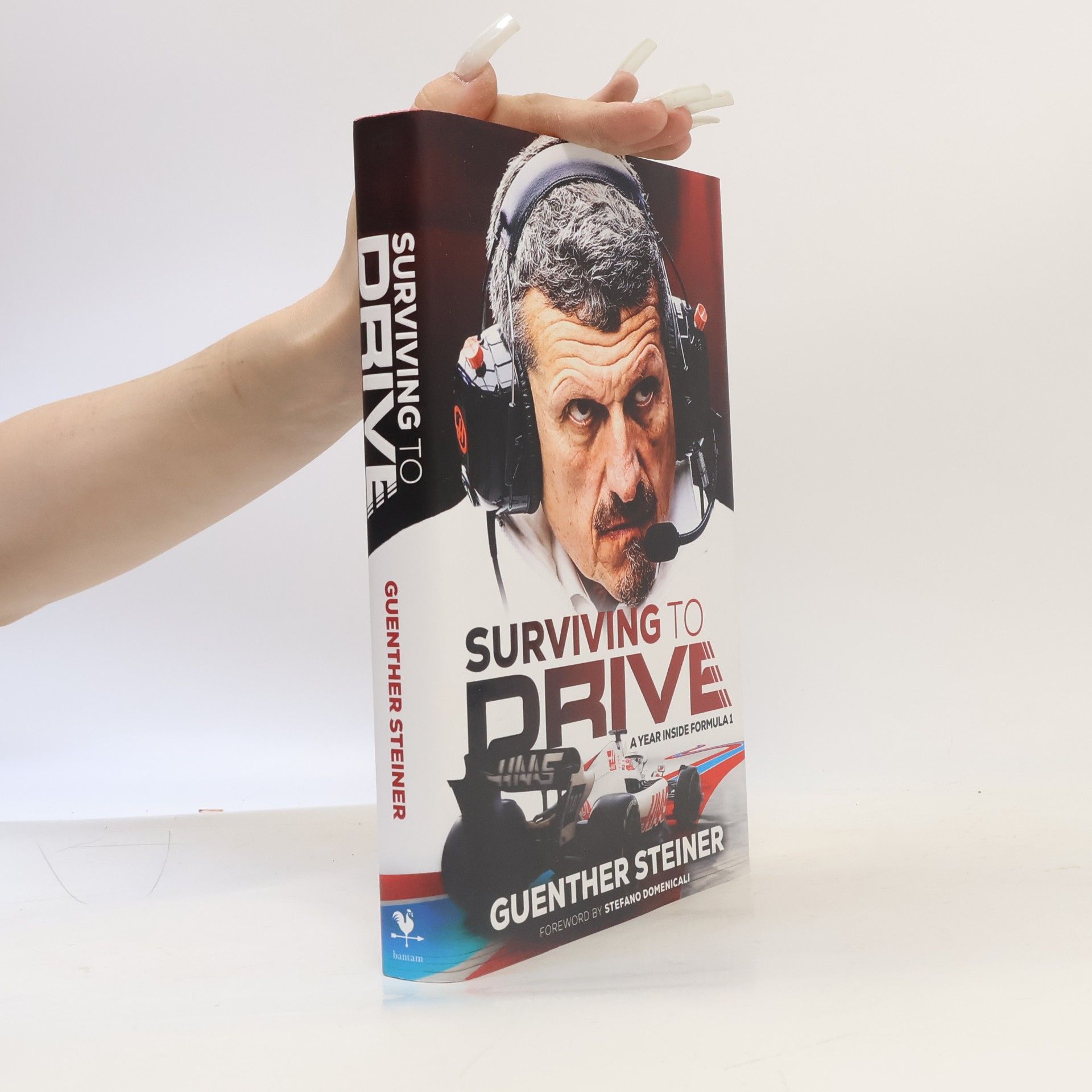 Guenther Steiner Surviving to Drive