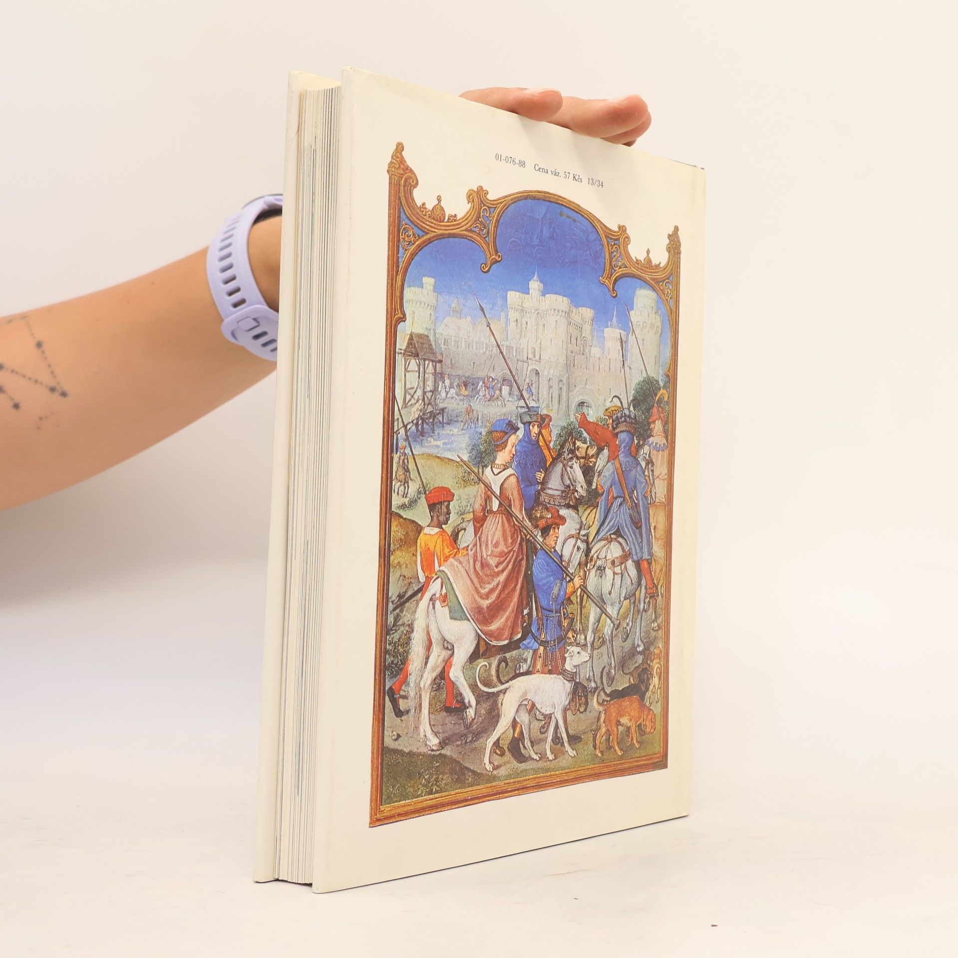 Derek Brewer Chaucer a jeho svět