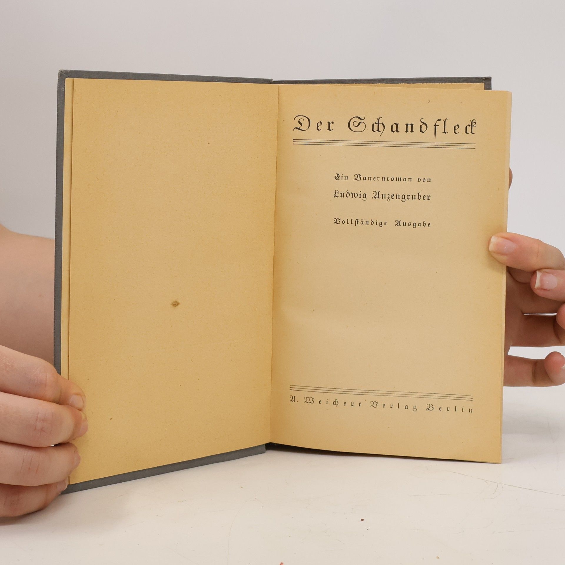 Ludwig Anzengruber Der Schandfleck