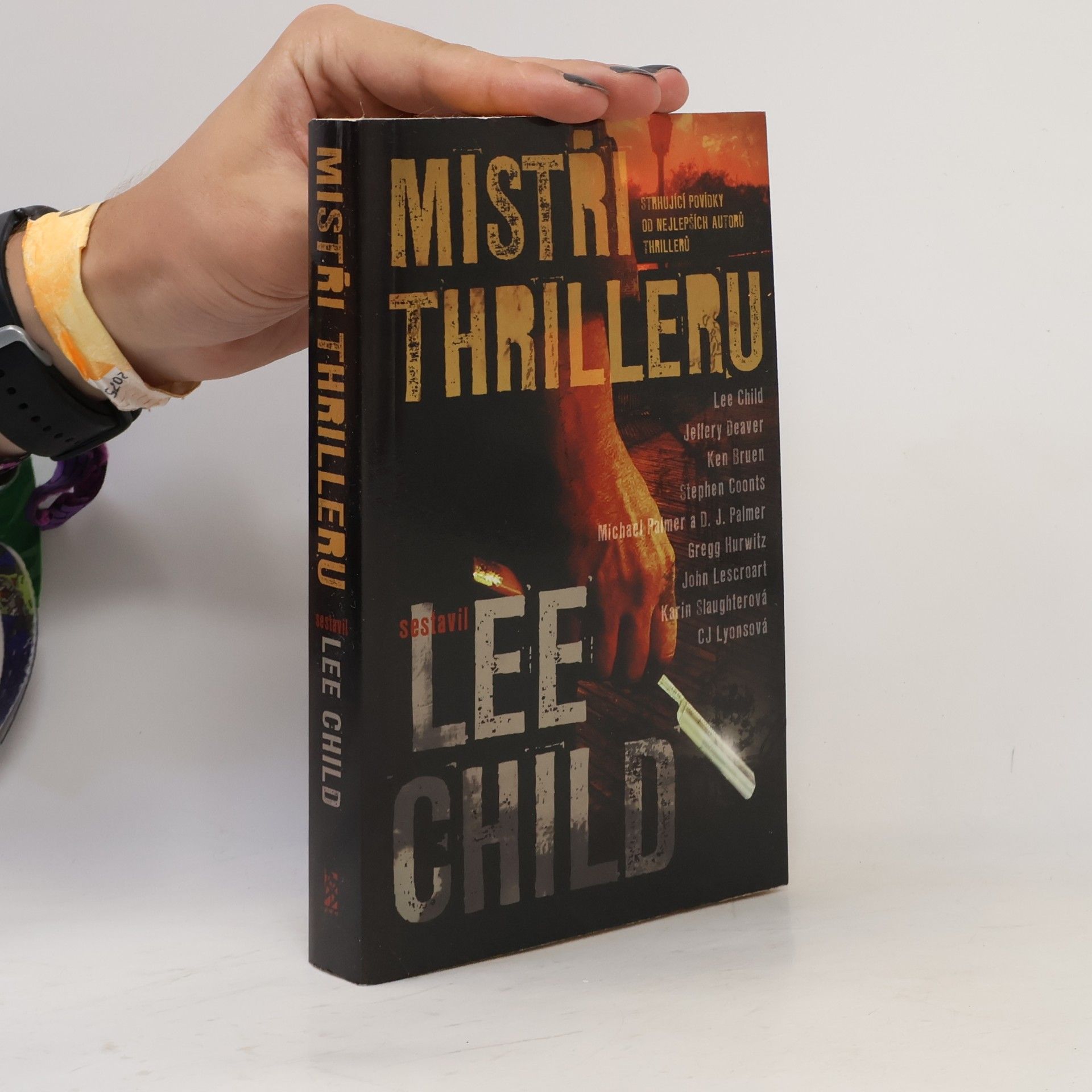 Mistři thrilleru: Strhující povídky od nejlepších autorů thrillerů