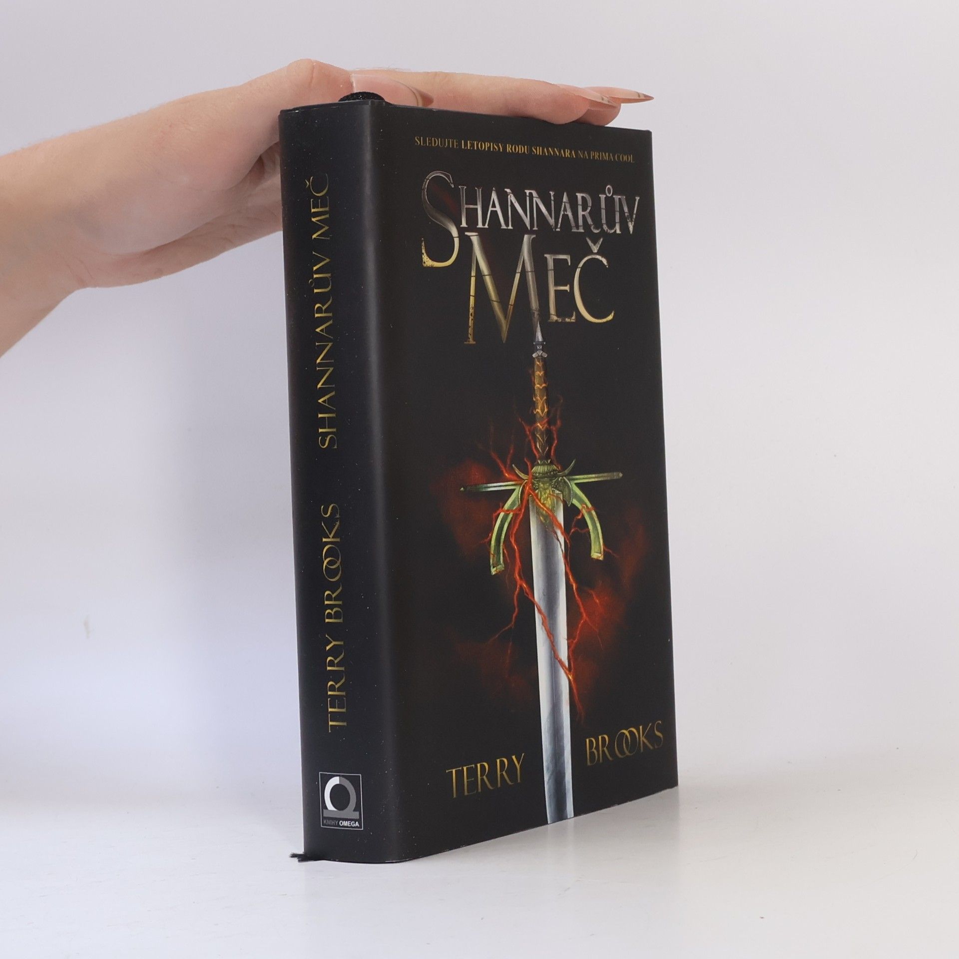 Terry Brooks Shannarův meč