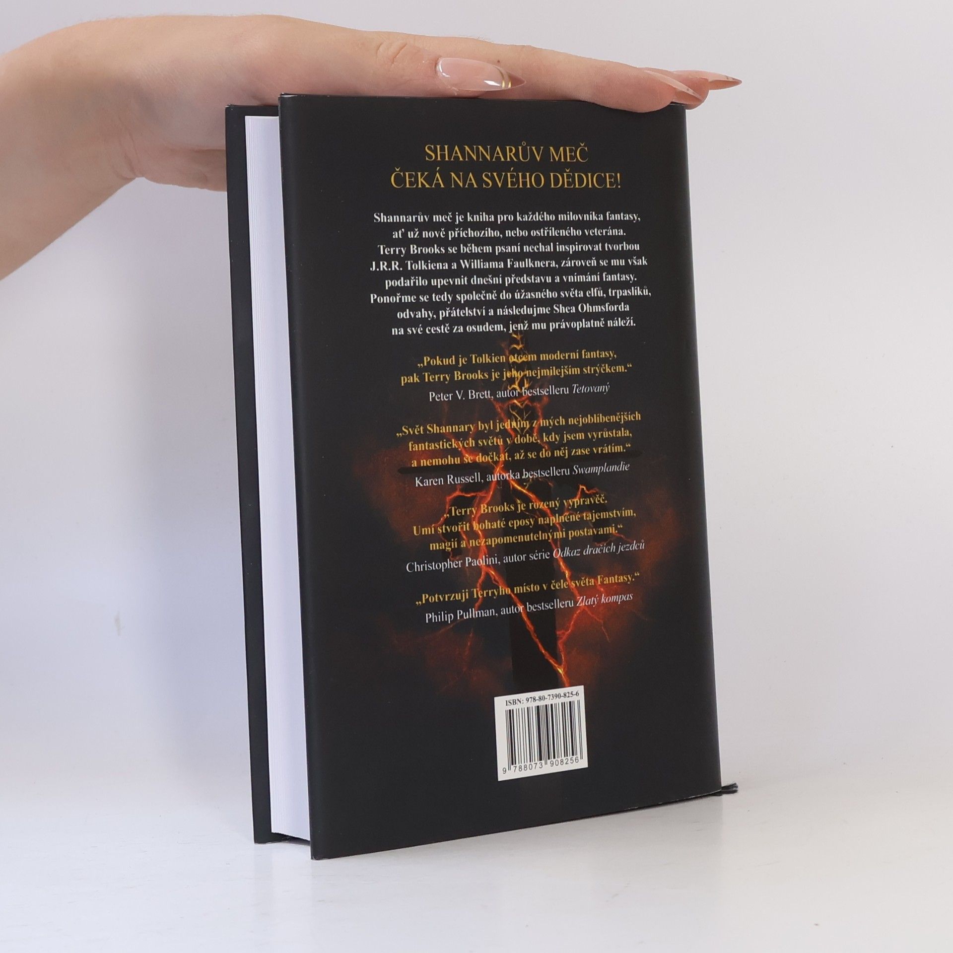 Terry Brooks Shannarův meč