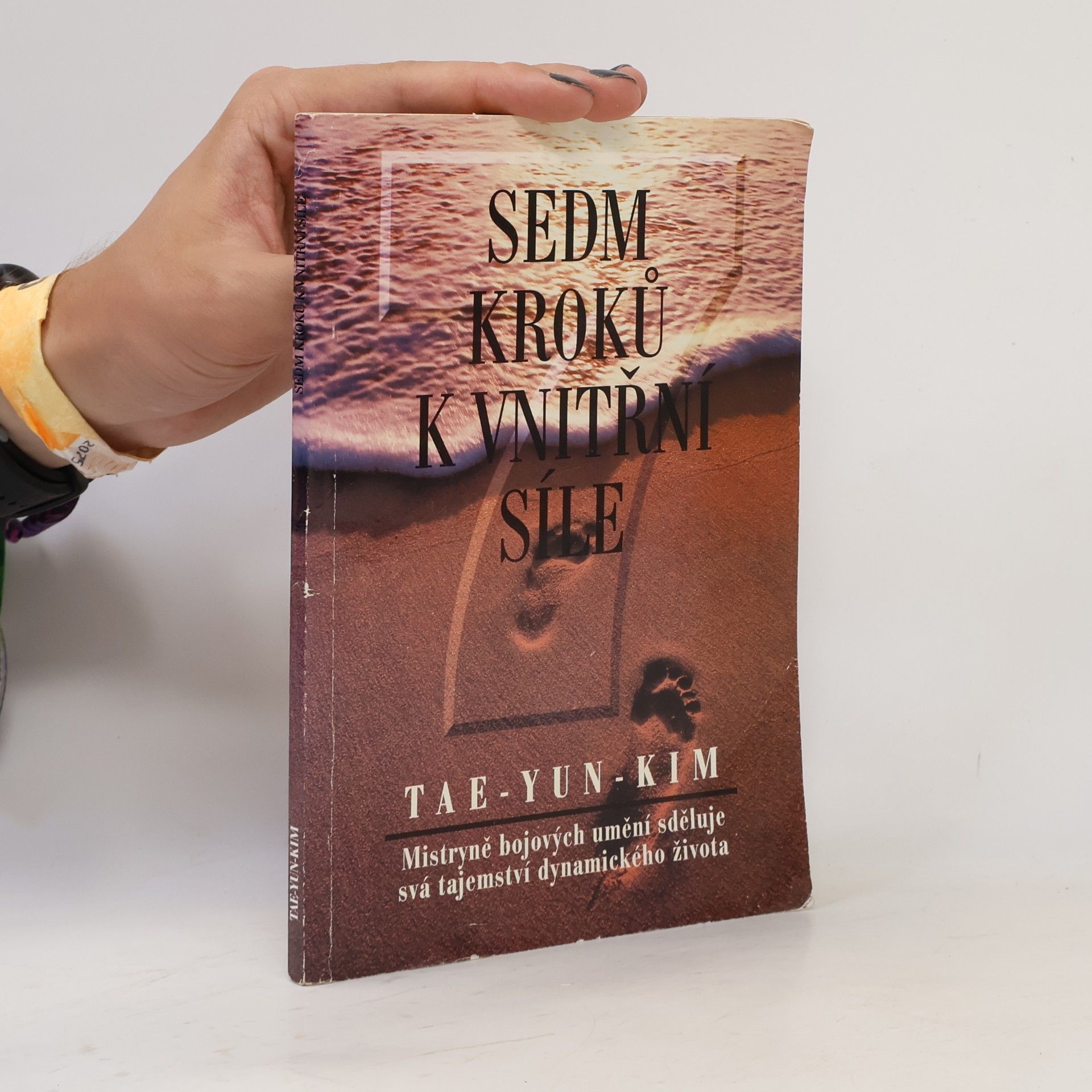 Tae Yun Kim Sedm kroků k vnitřní síle