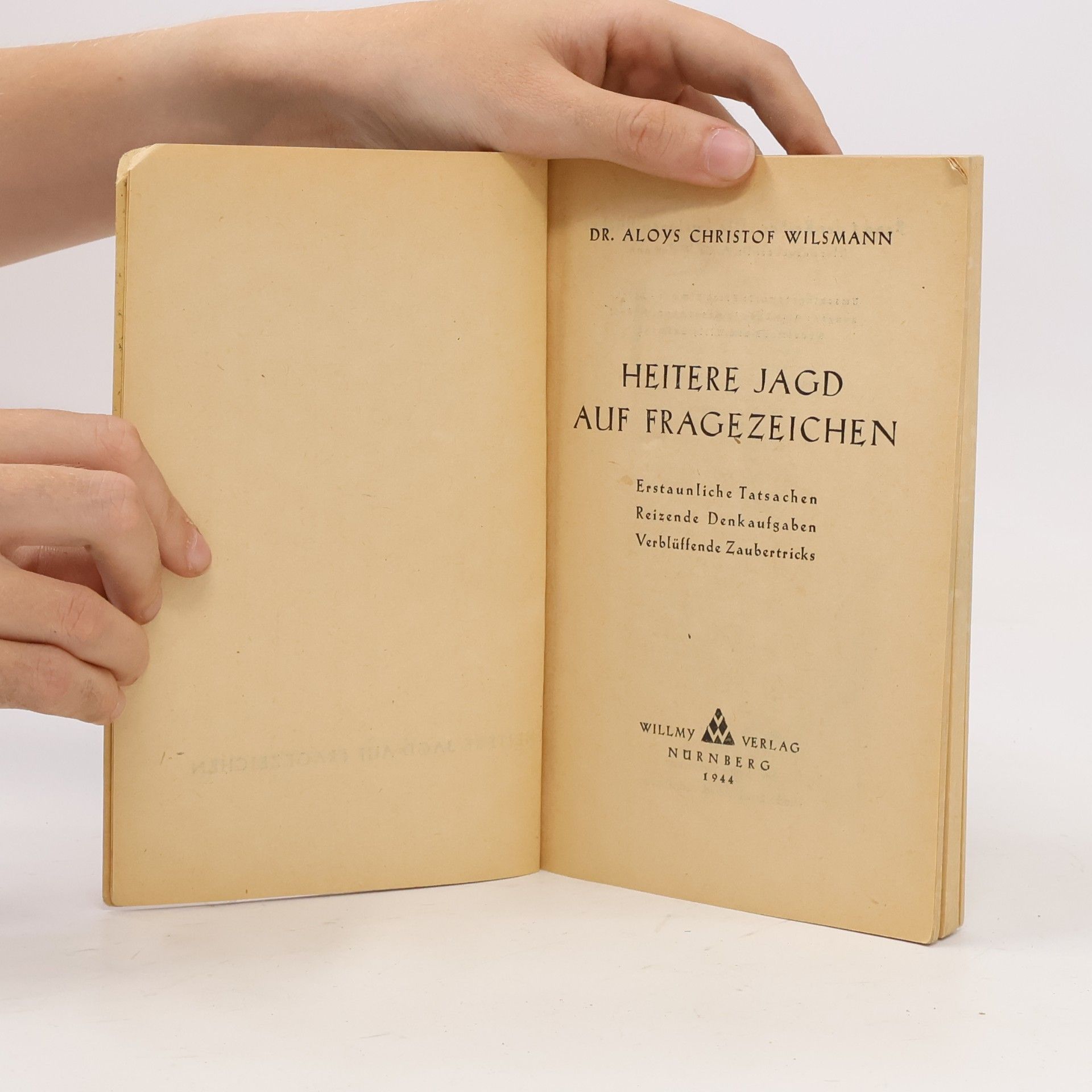 Aloys Christof Wilsmann Heitere Jagd auf Fragezeichen