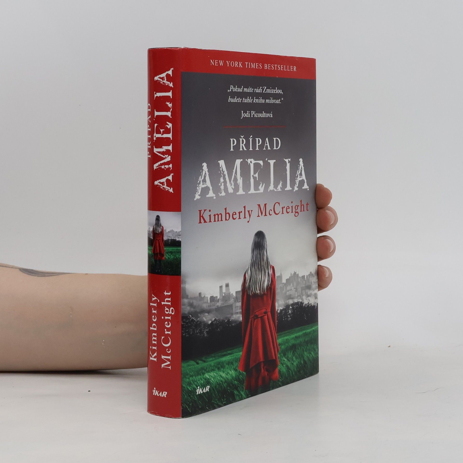 Kimberly McCreight Případ Amelia