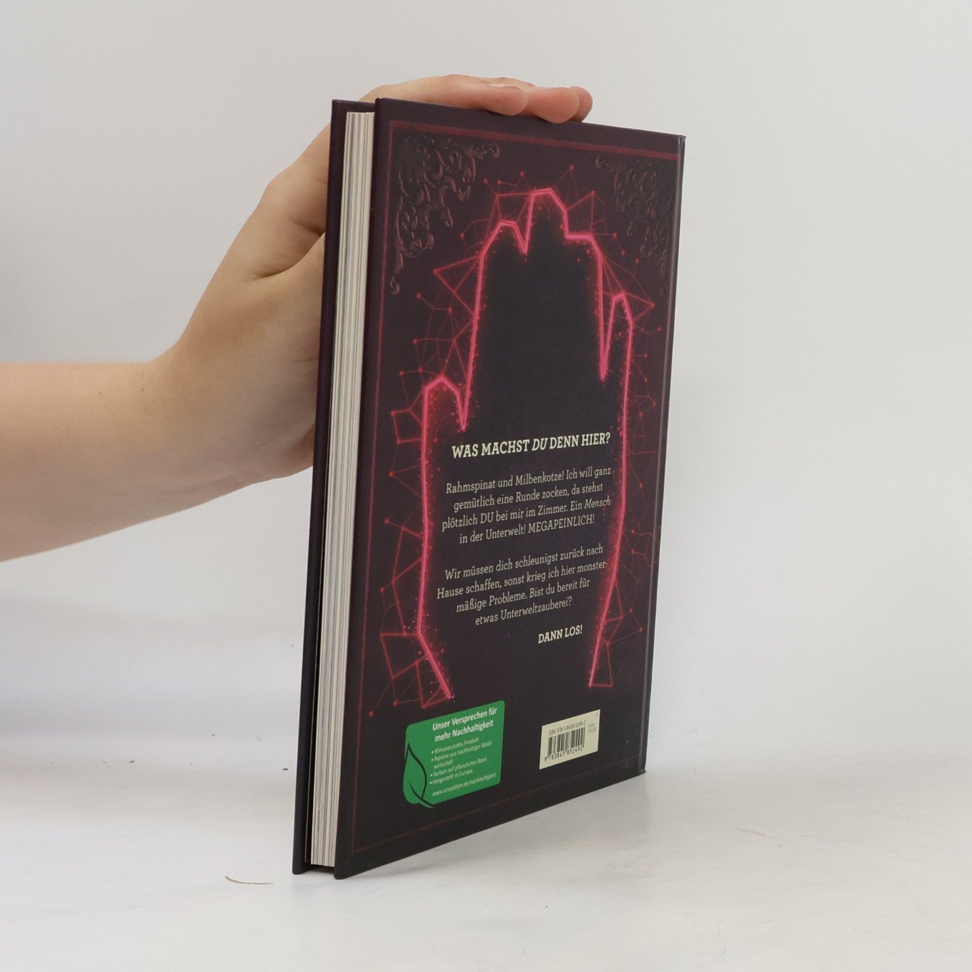 Jens Schumacher Das Buch mit dem Fluch – Schau nicht hier rein! (Das Buch mit dem Fluch 3)