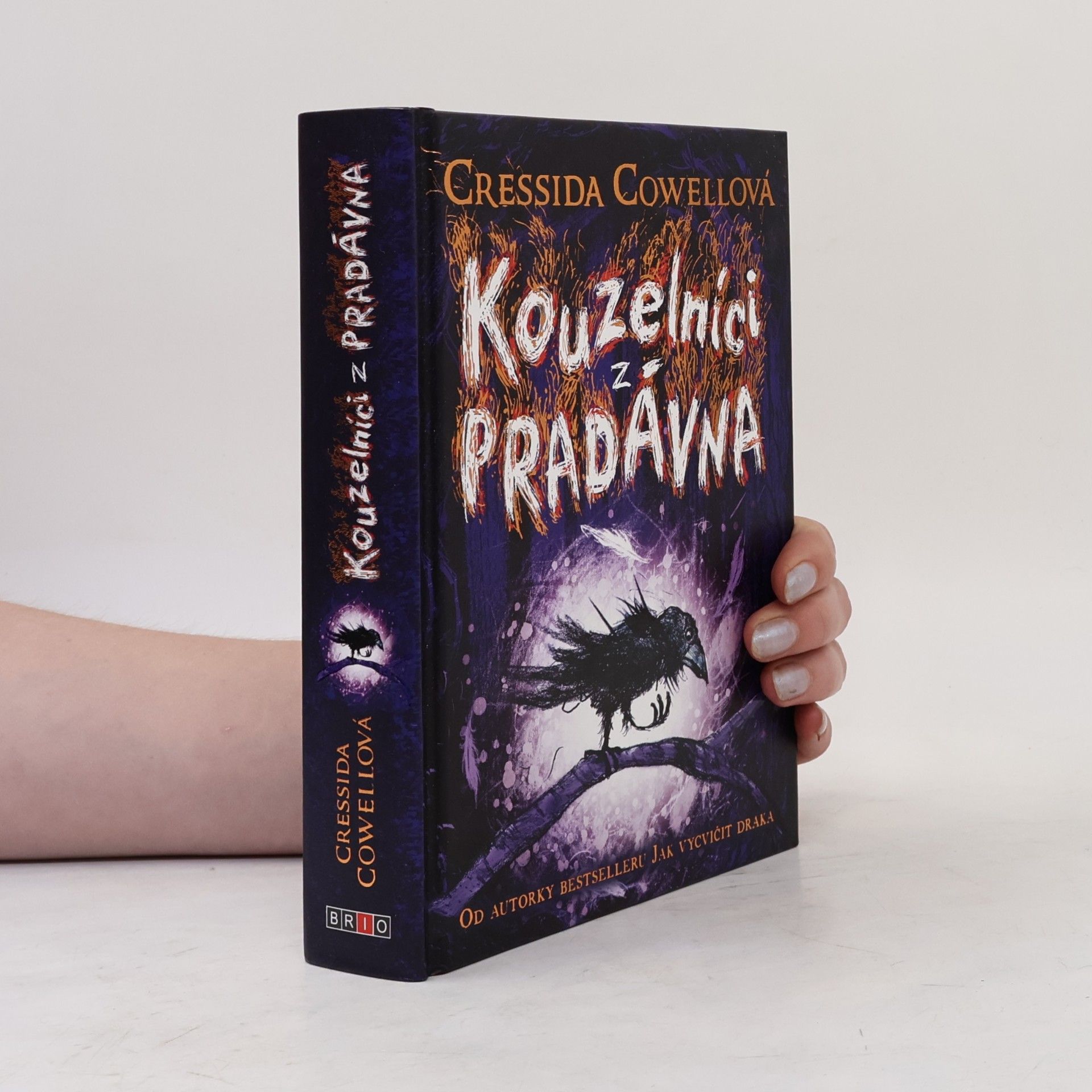 Cressida Cowell Kouzelníci z pradávna