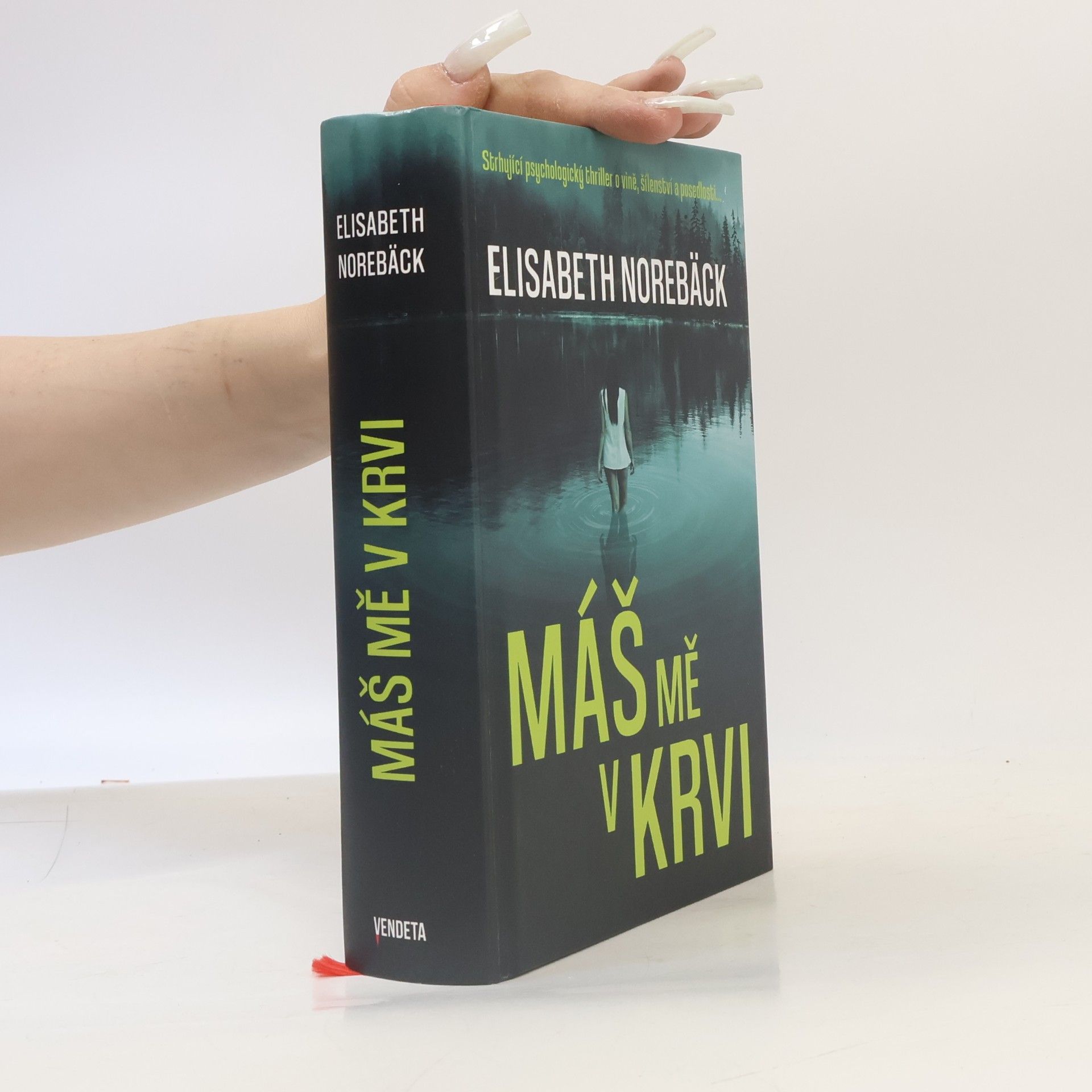 Elisabeth Norebäck Máš mě v krvi