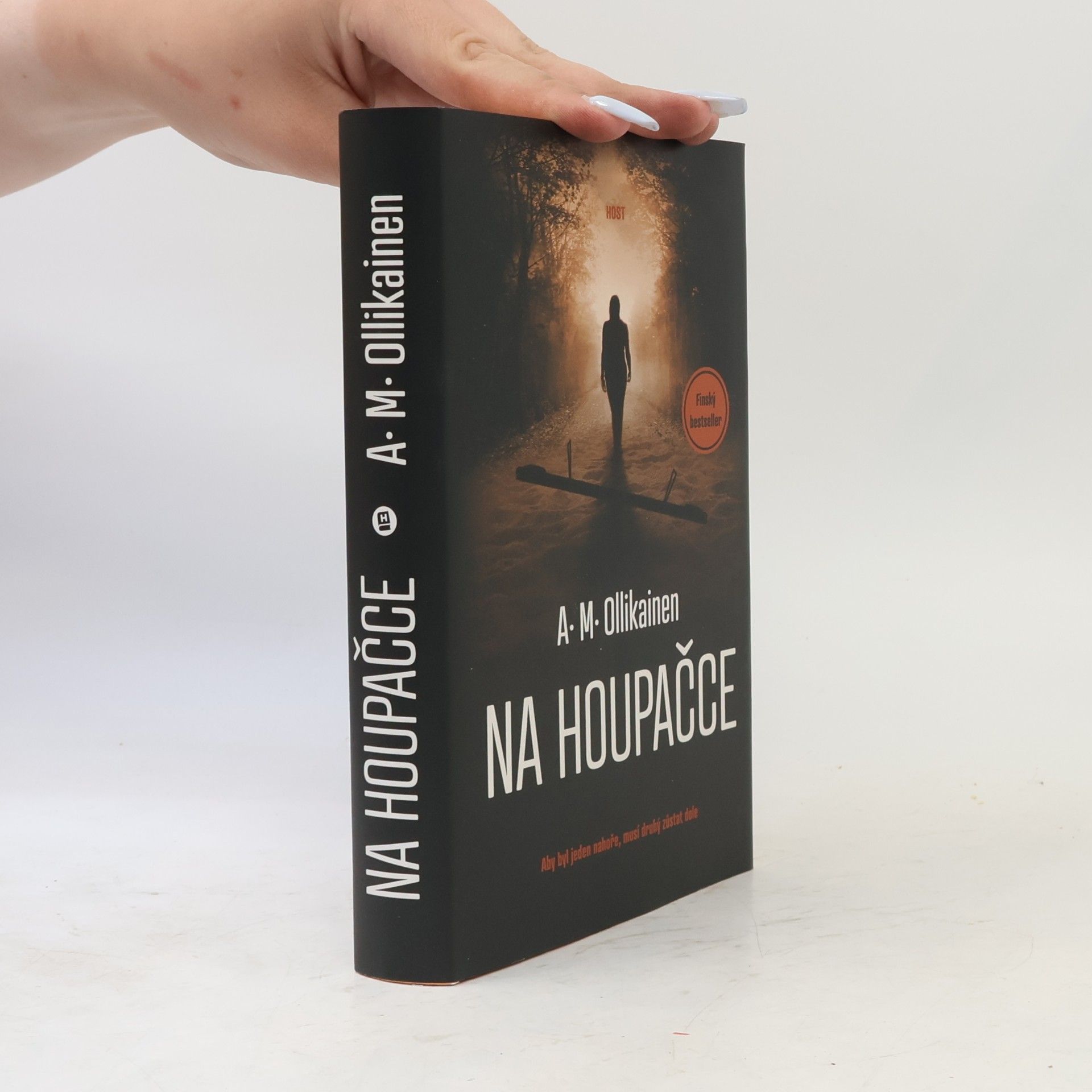 A. M. Ollikainen Na houpačce