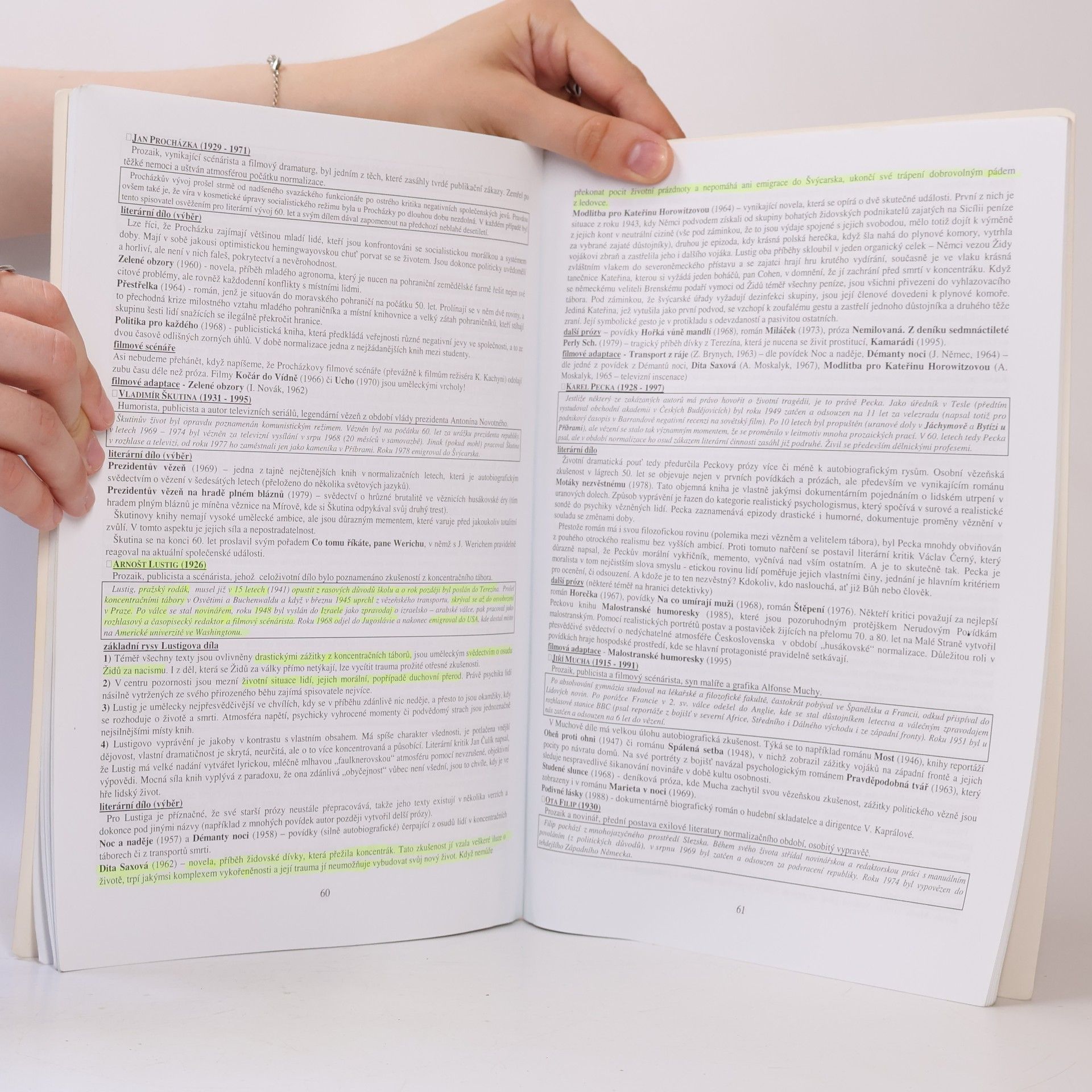 Vladimír Prokop Přehled české literatury 20. století