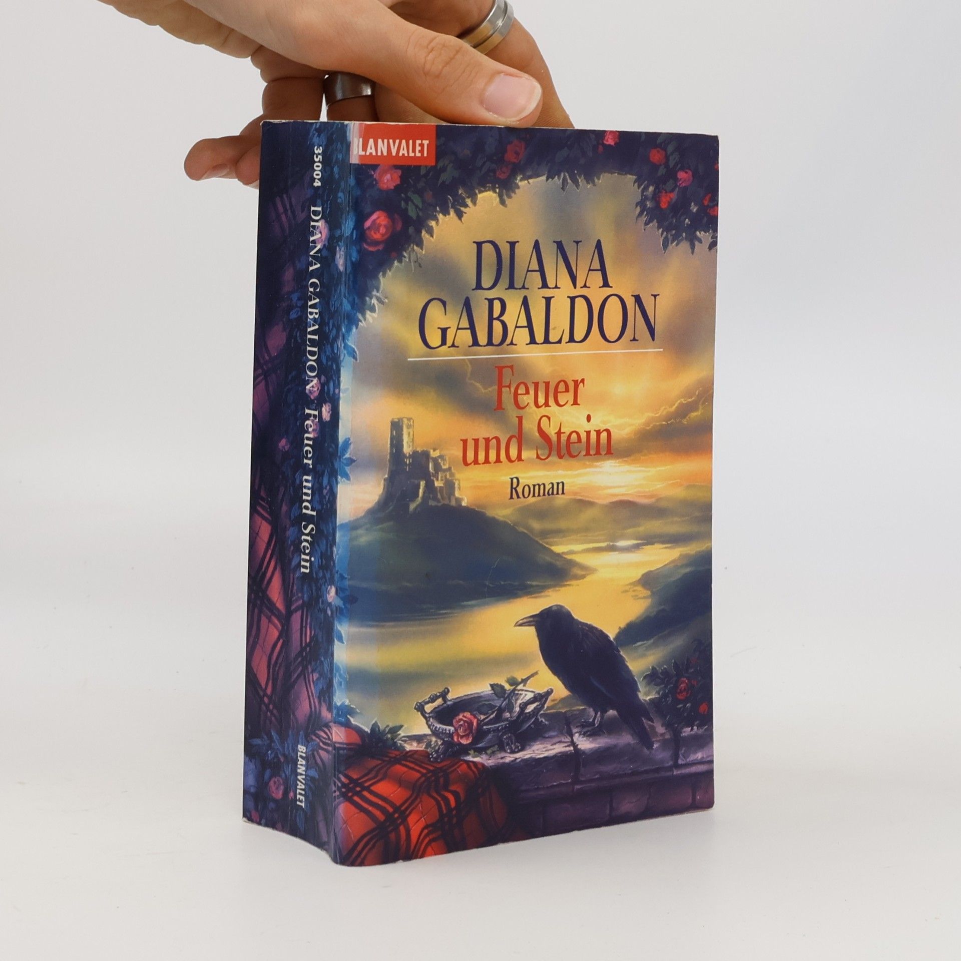 Diana Gabaldon Feuer und Stein