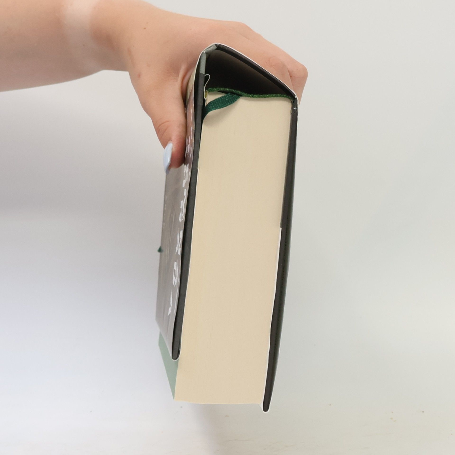 Tana French Temná zahrada