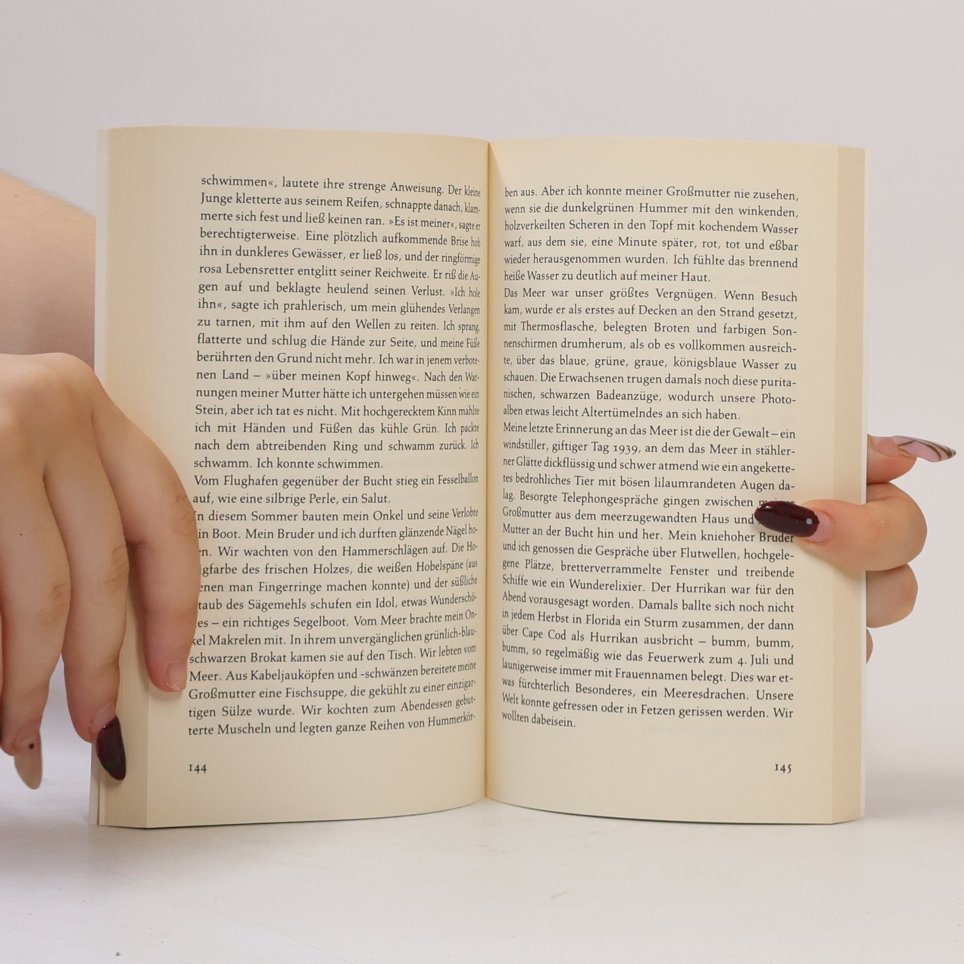 Sylvia Plath Die Bibel der Träume