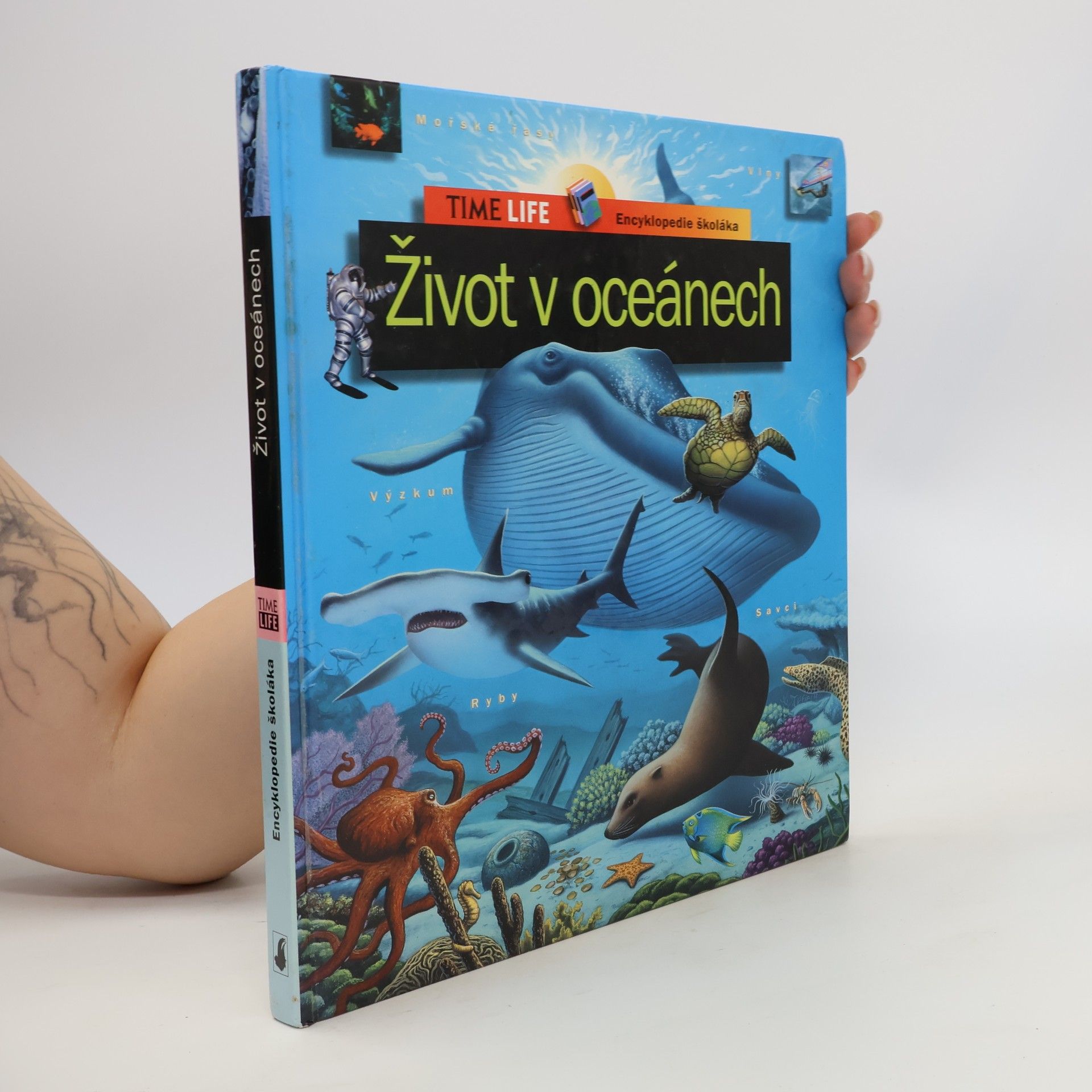 Život v oceánech