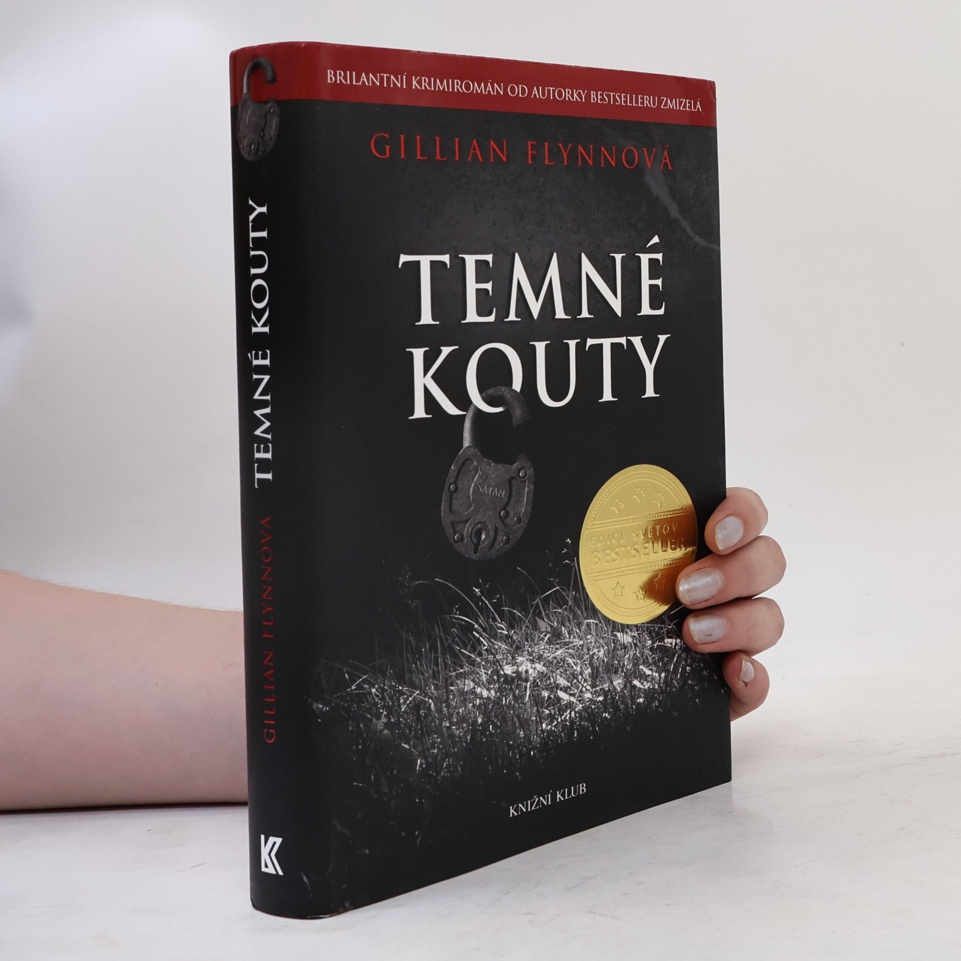 Gillian Flynn Temné kouty