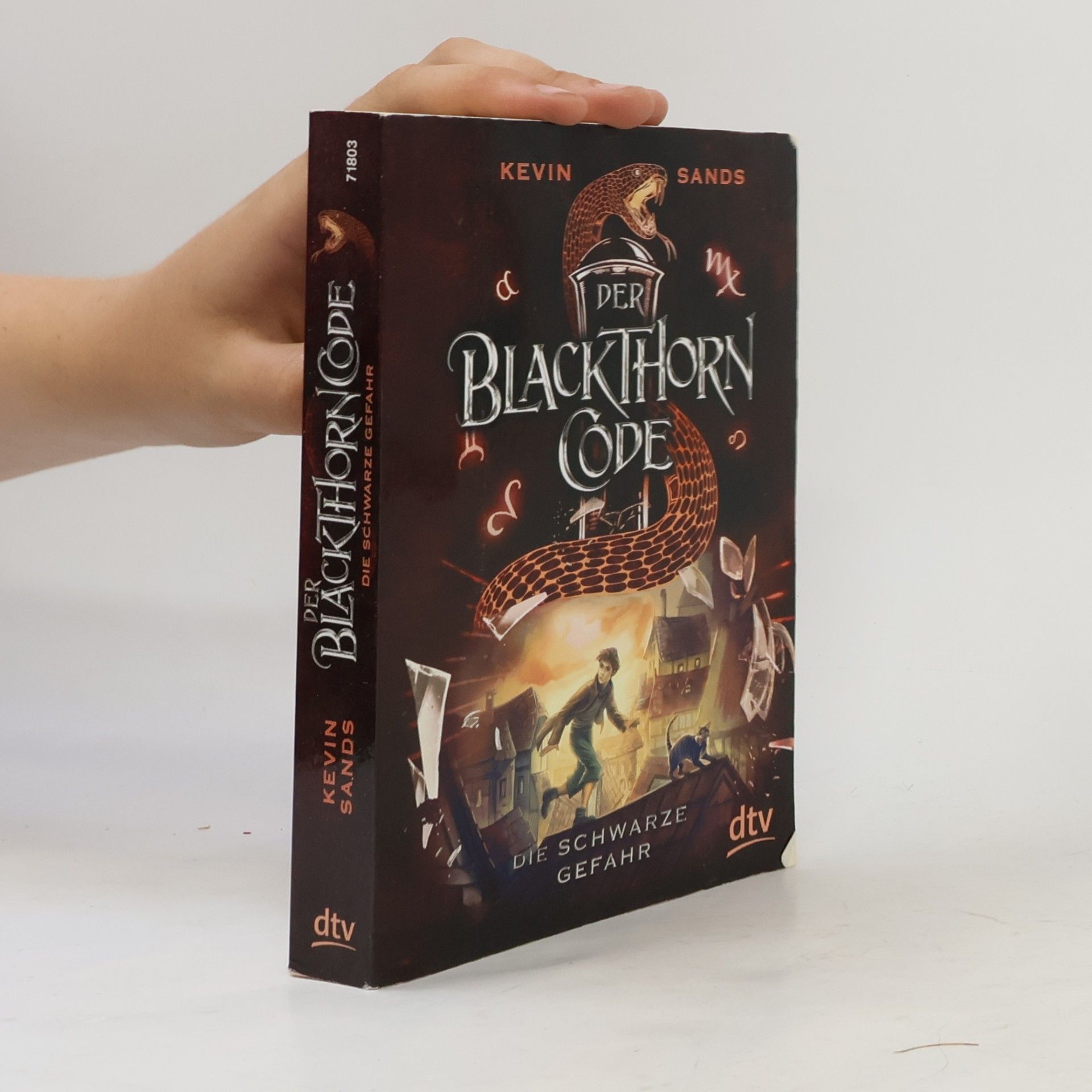 Kevin Sands Der Blackthorn Code - die schwarze Gefahr