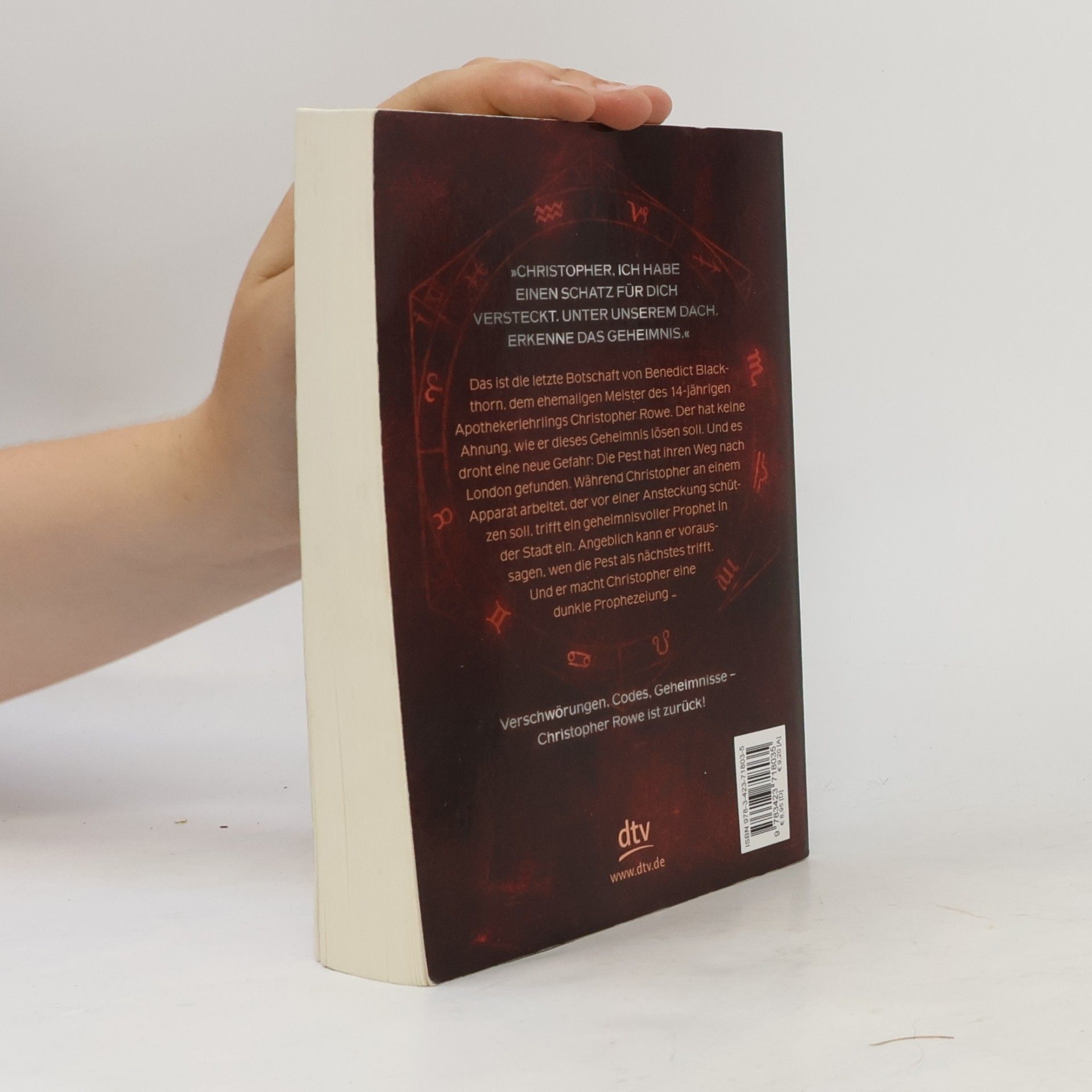 Kevin Sands Der Blackthorn Code - die schwarze Gefahr
