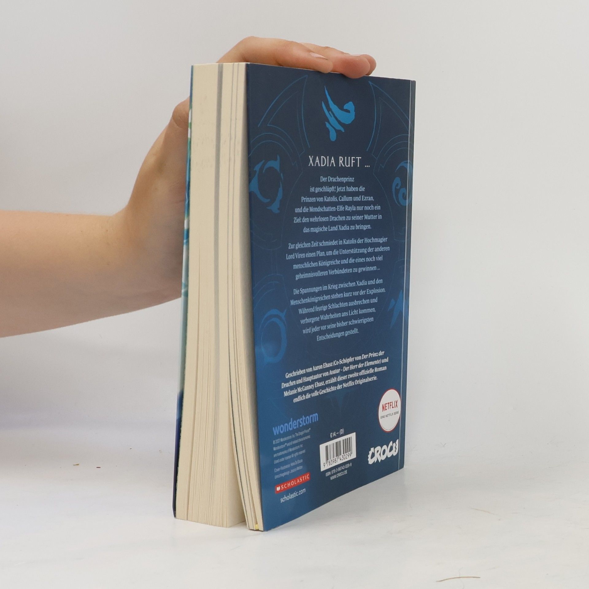 Melanie Mcganney Ehasz Dragon Prince - Der Prinz der Drachen Buch 2: Himmel (Roman)