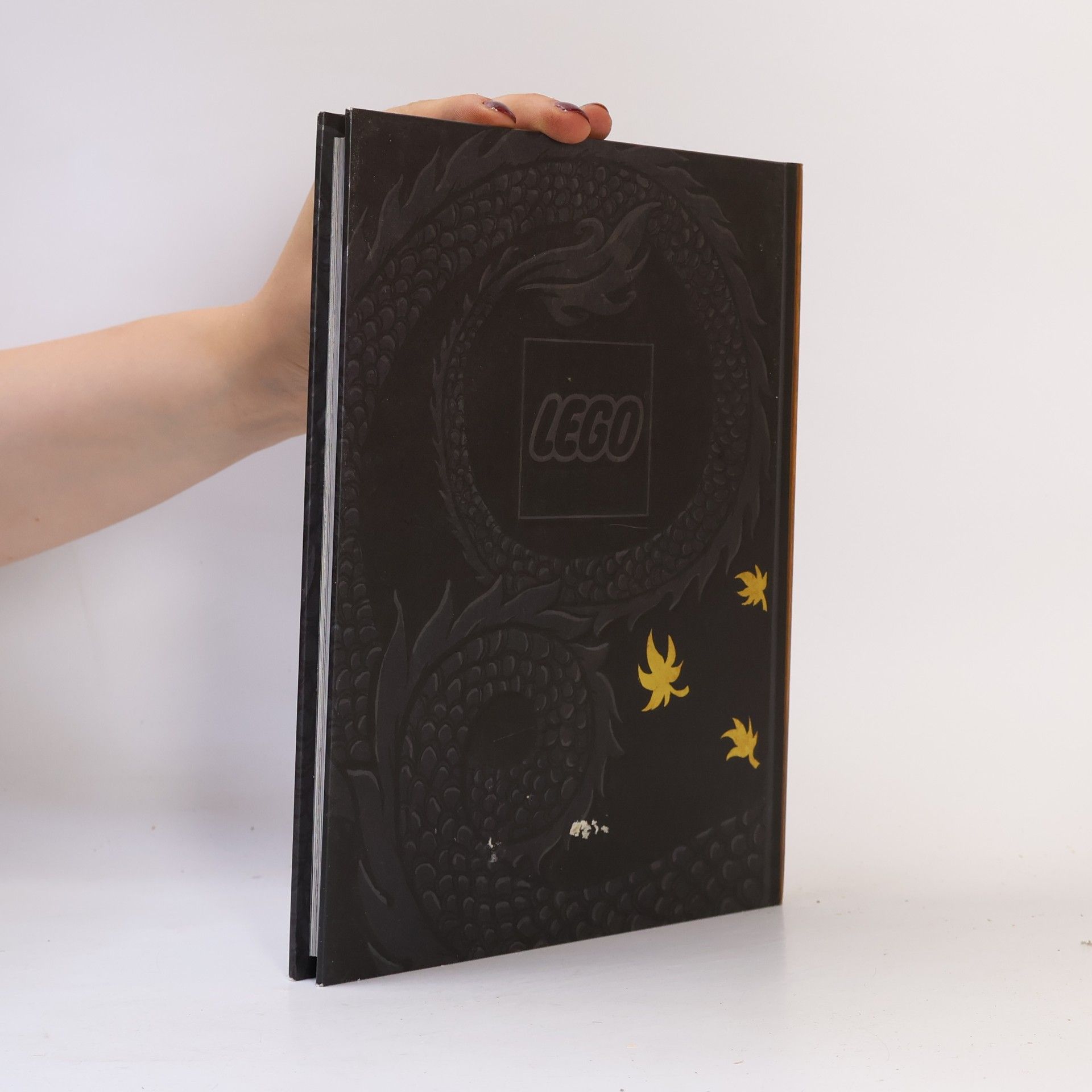 M. Adam LEGO® NINJAGO® Das Buch des Spinjitzu