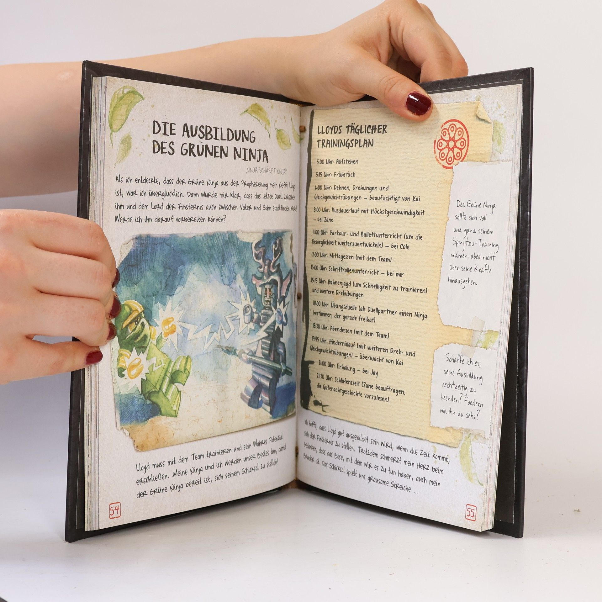 M. Adam LEGO® NINJAGO® Das Buch des Spinjitzu