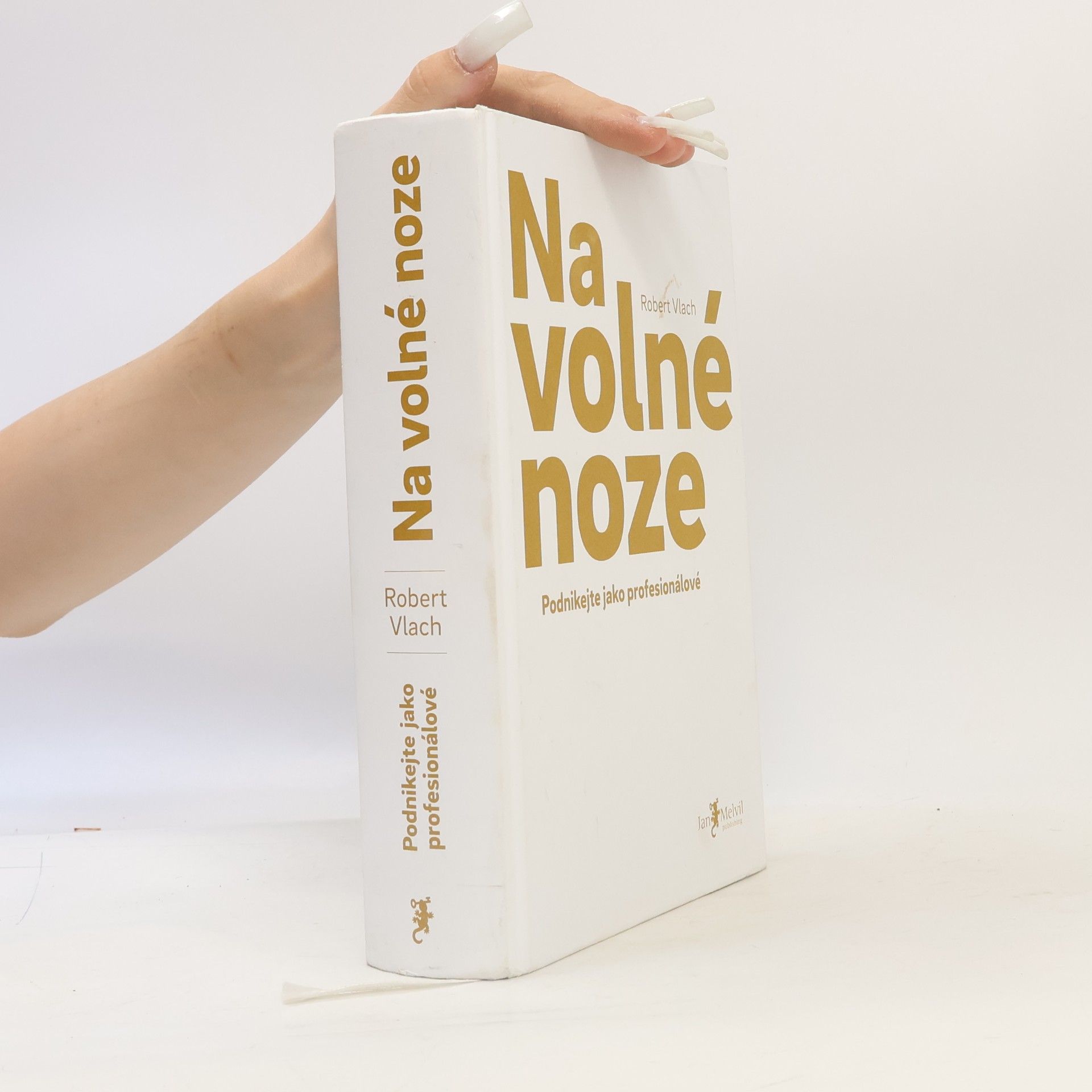 Robert Vlach Na volné noze