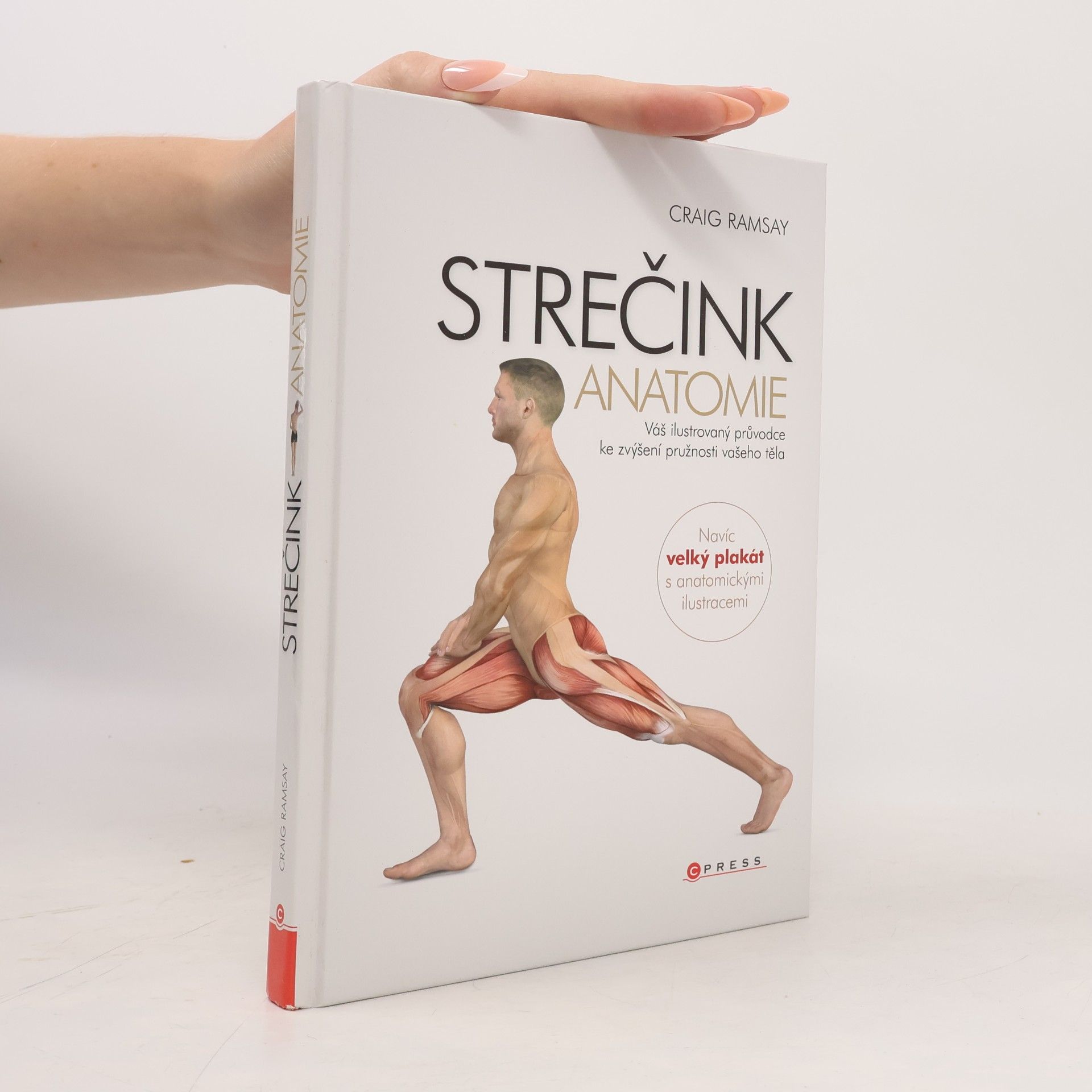 Craig Ramsay Strečink - anatomie