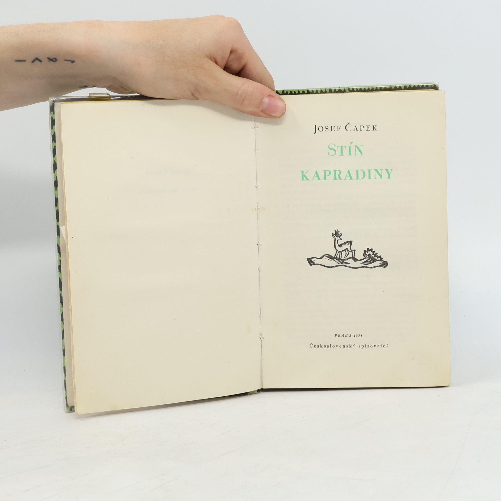 Josef Čapek Stín kapradiny