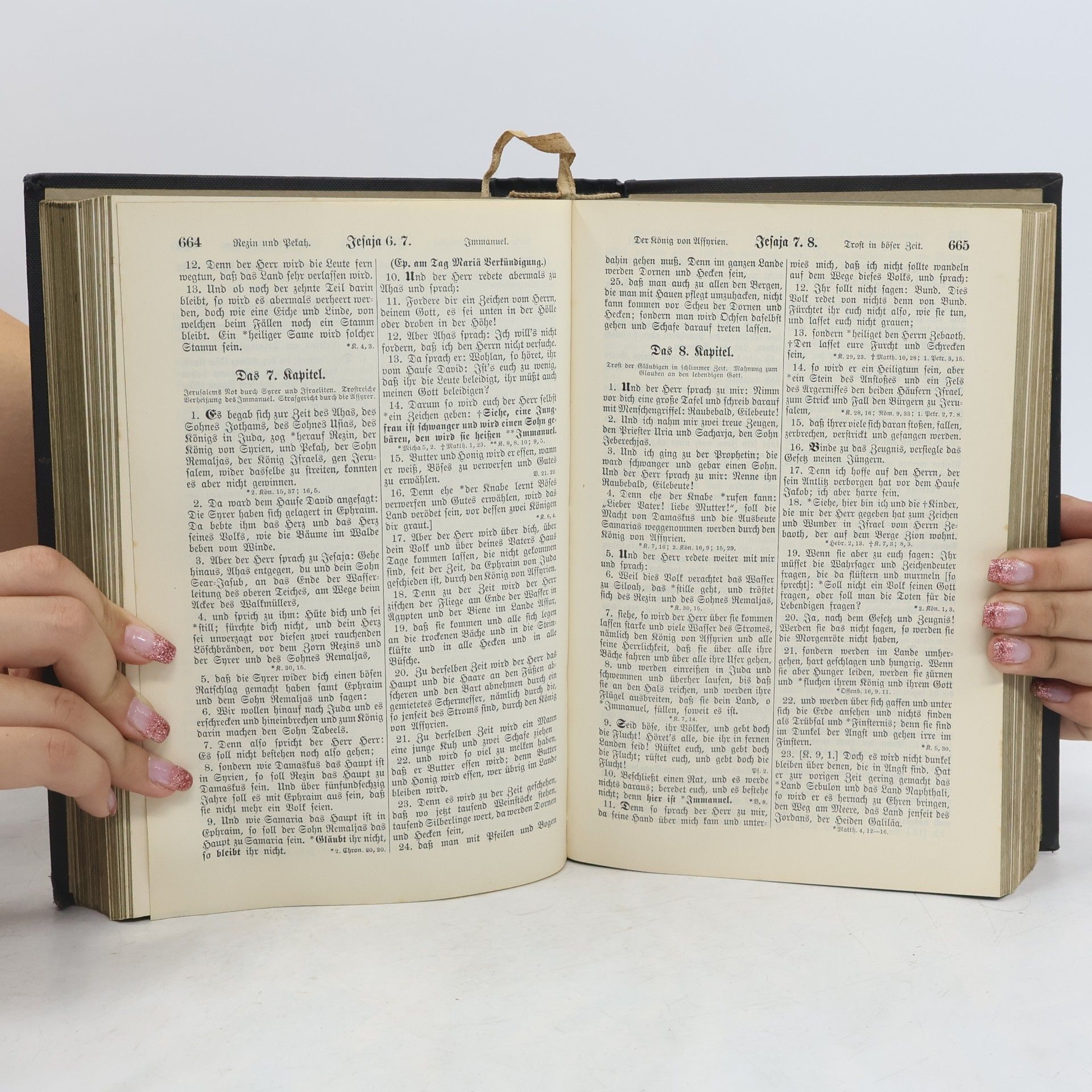 Martin Luther Die Bibel oder die ganze Heilige Schrift des Alten u. Neuen Testaments
