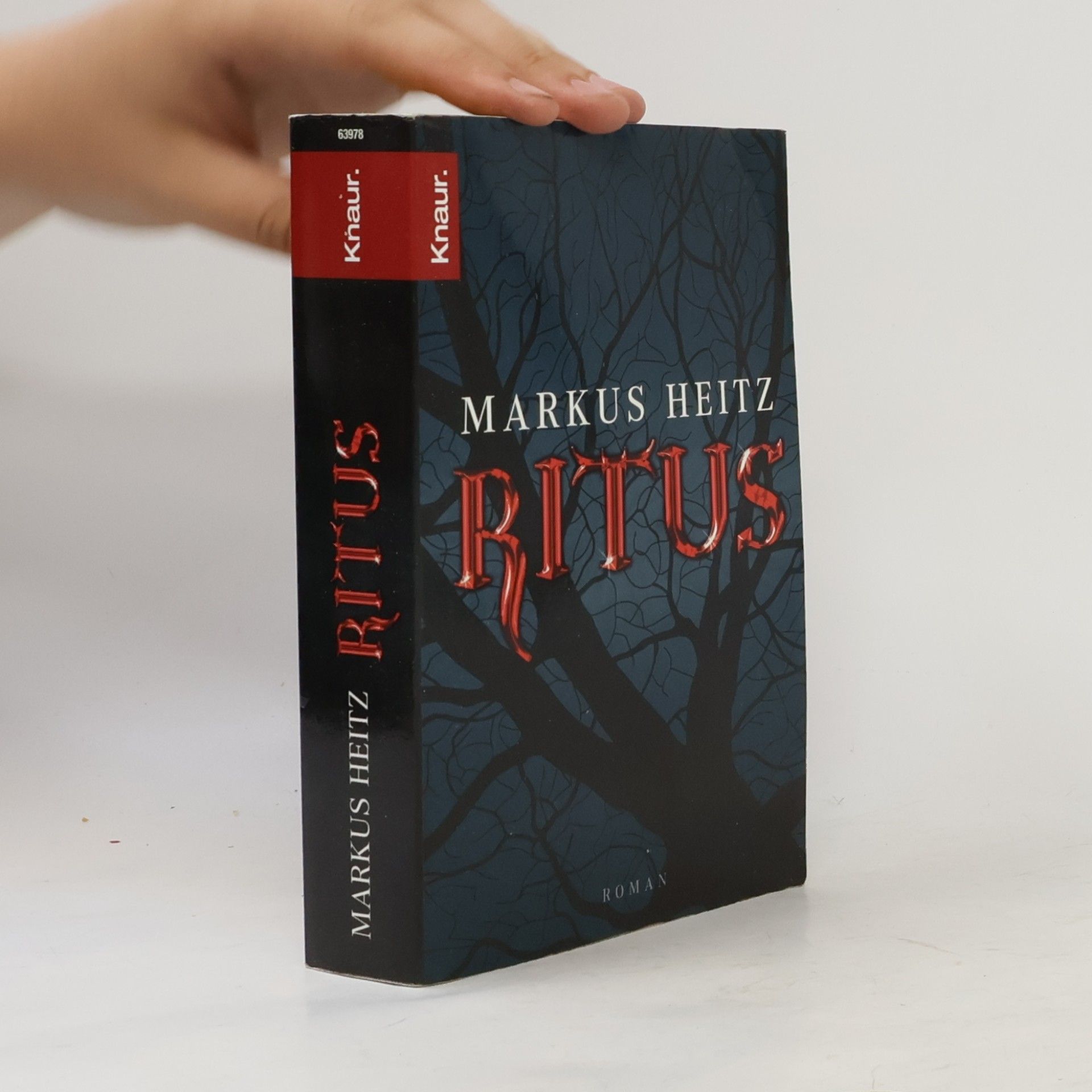Markus Heitz Ritus