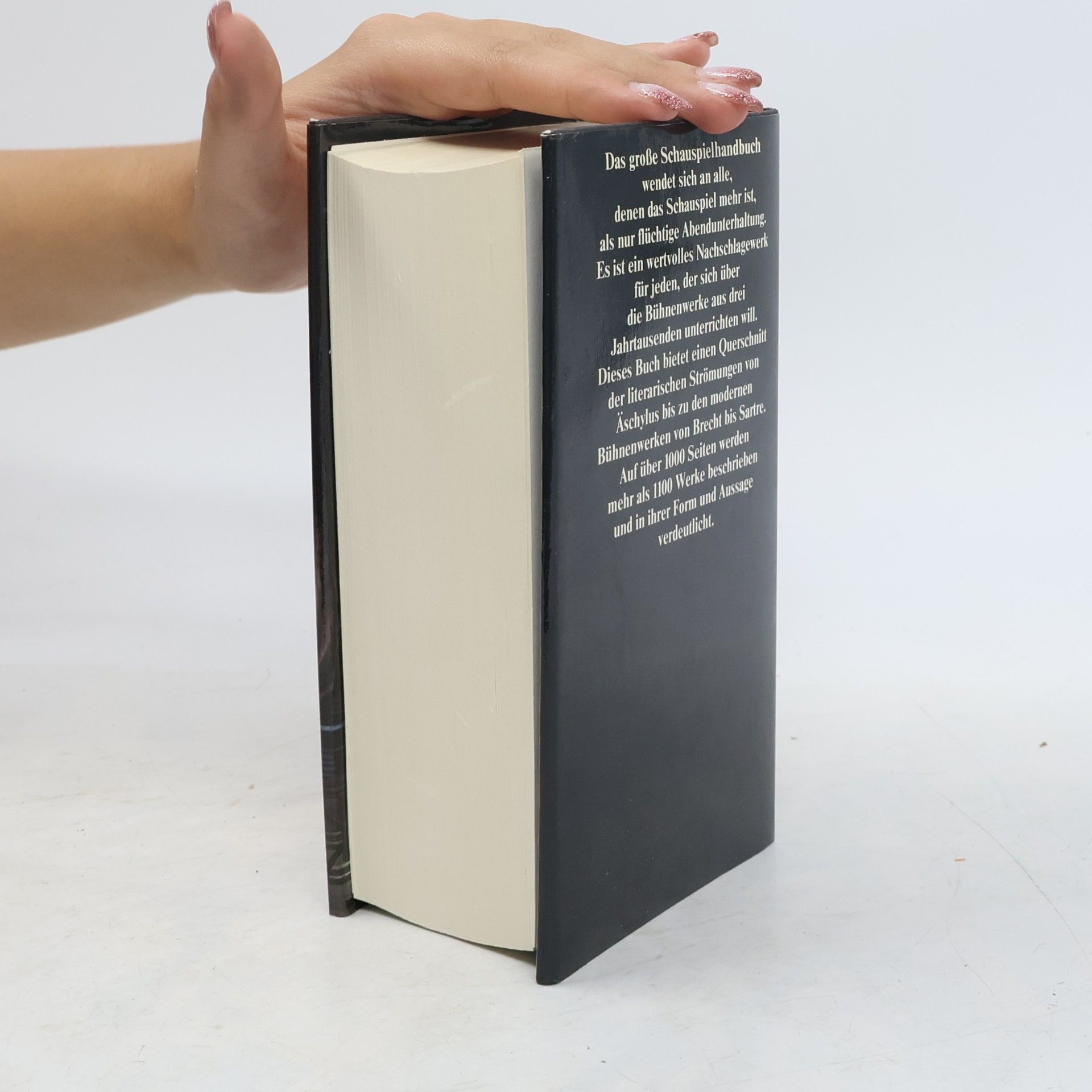 Autorenkollektiv Das grosse Schauspielhandbuch