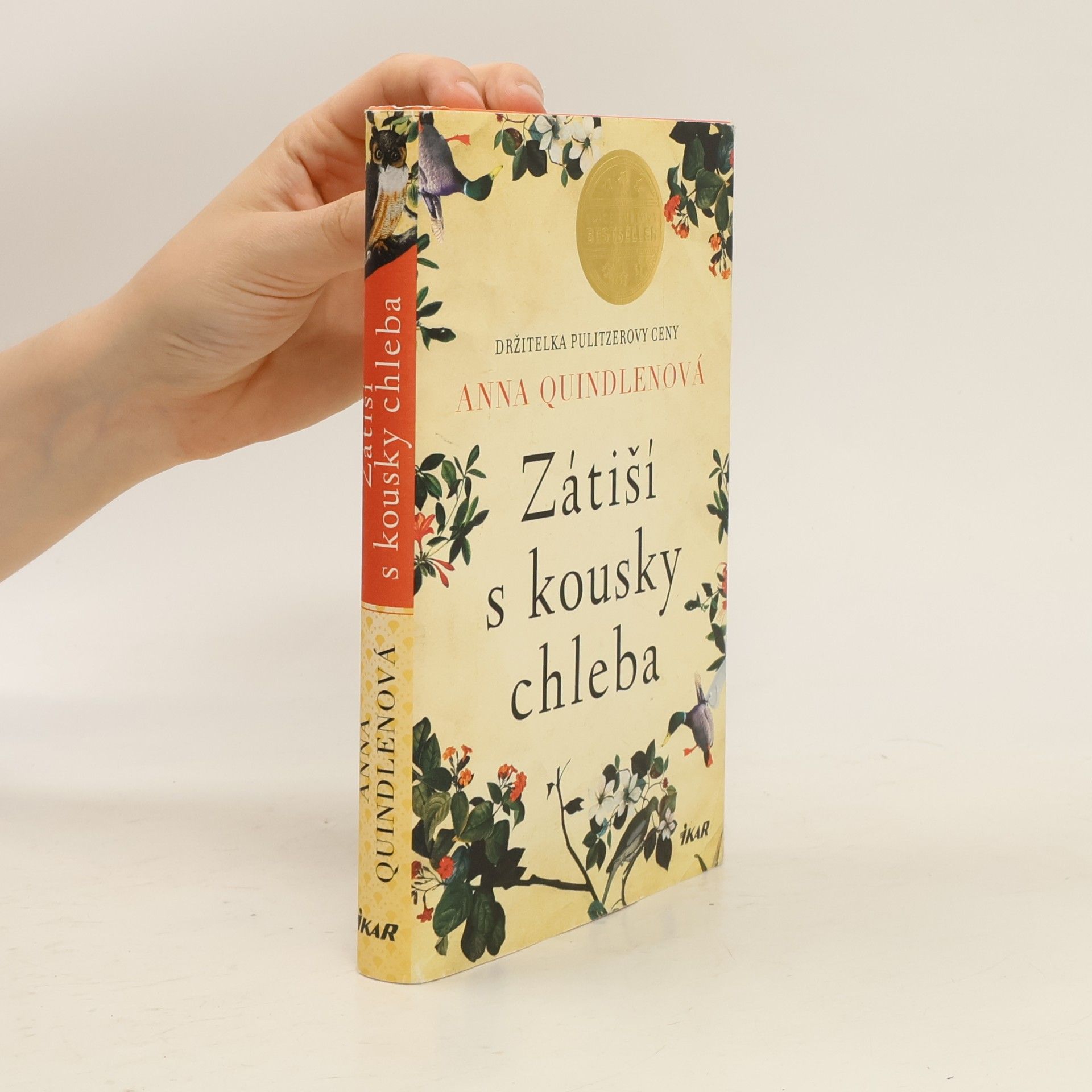 Anna Quindlen Zátiší s kousky chleba
