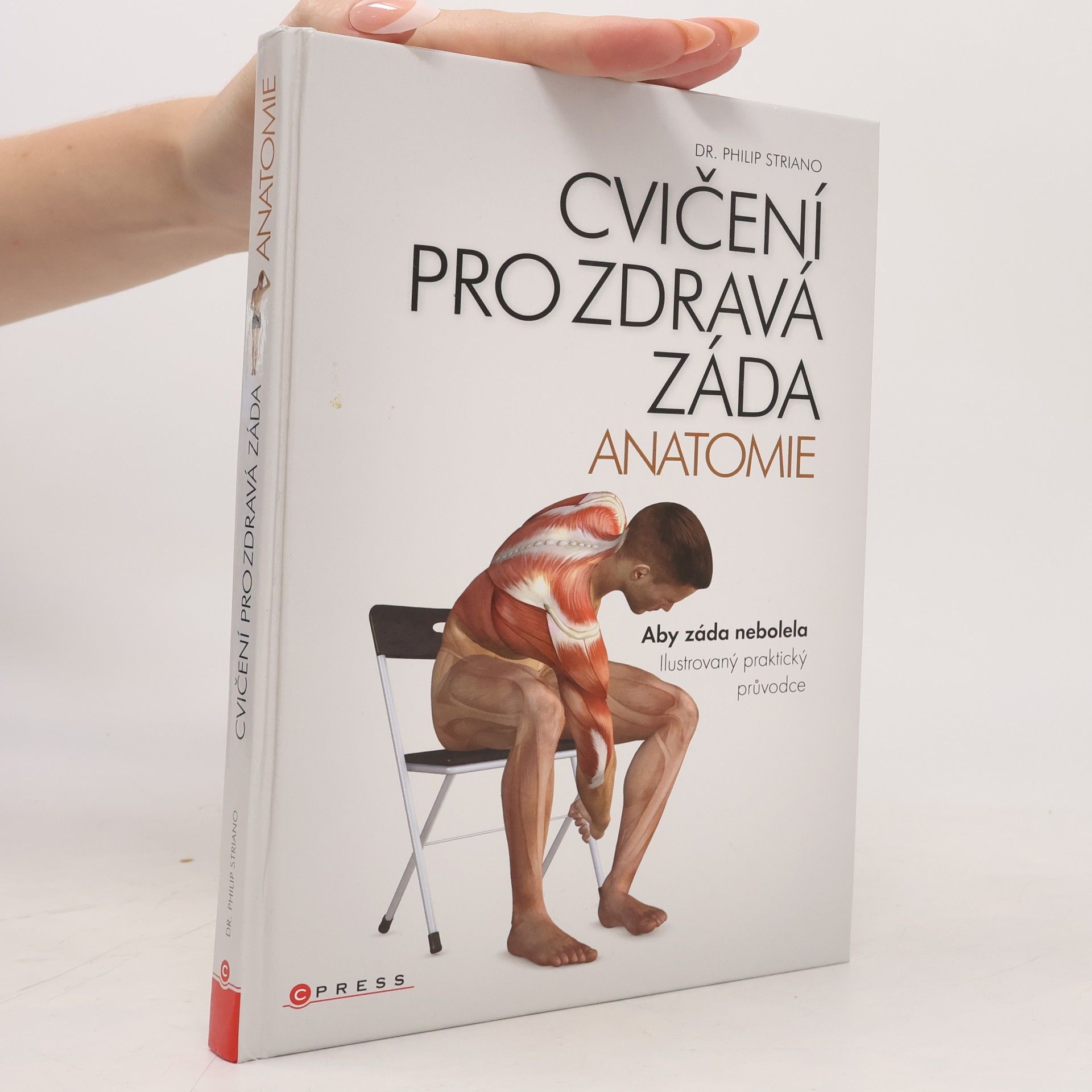 Cvičení pro zdravá záda - anatomie