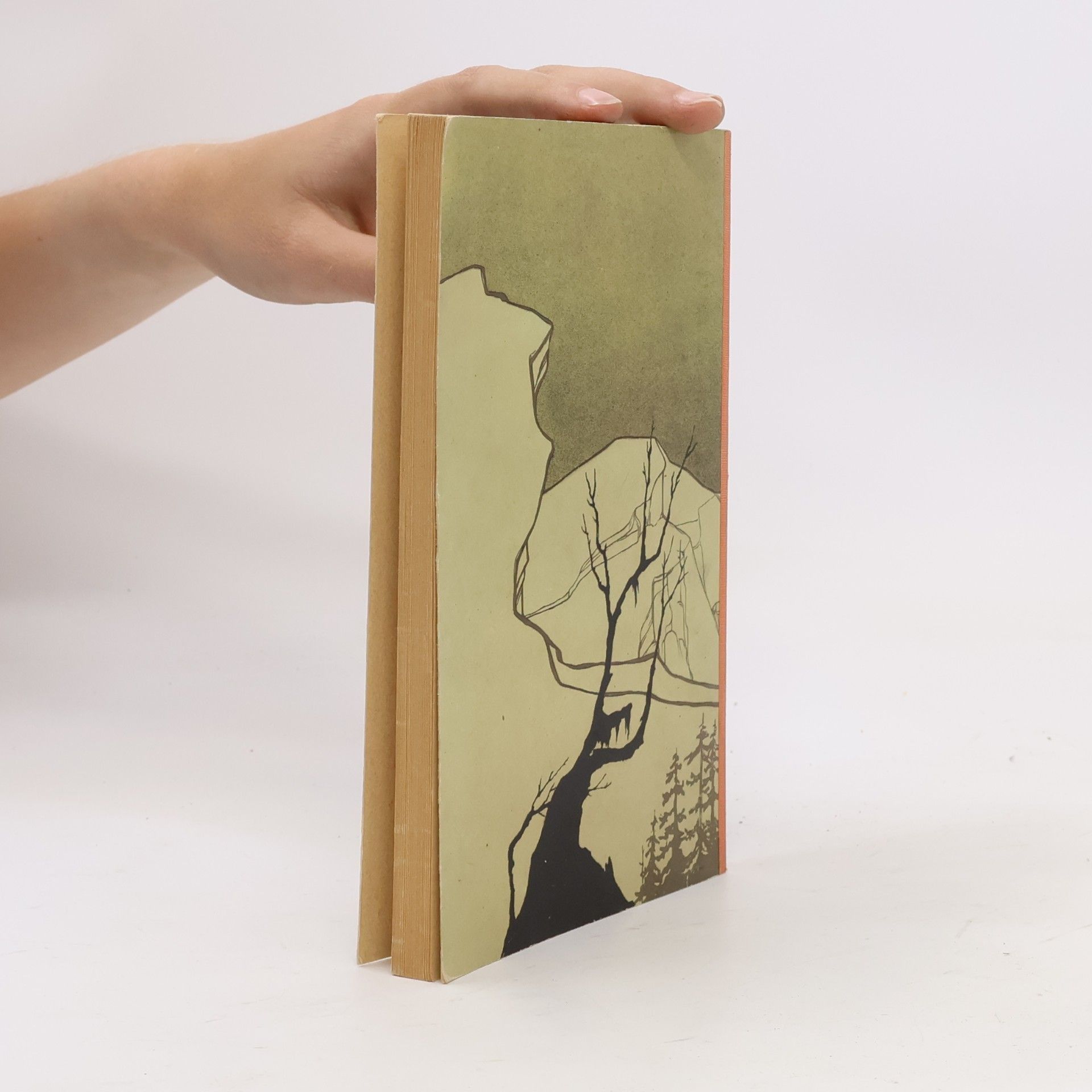 Robert Musil Drei Frauen