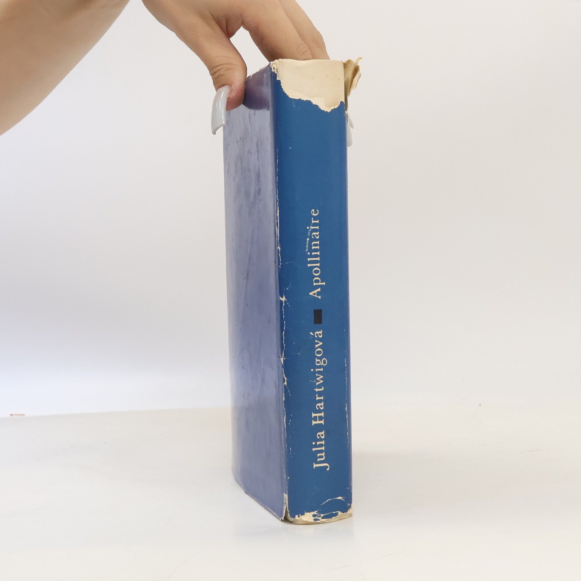 Julia Hartwig Apollinaire