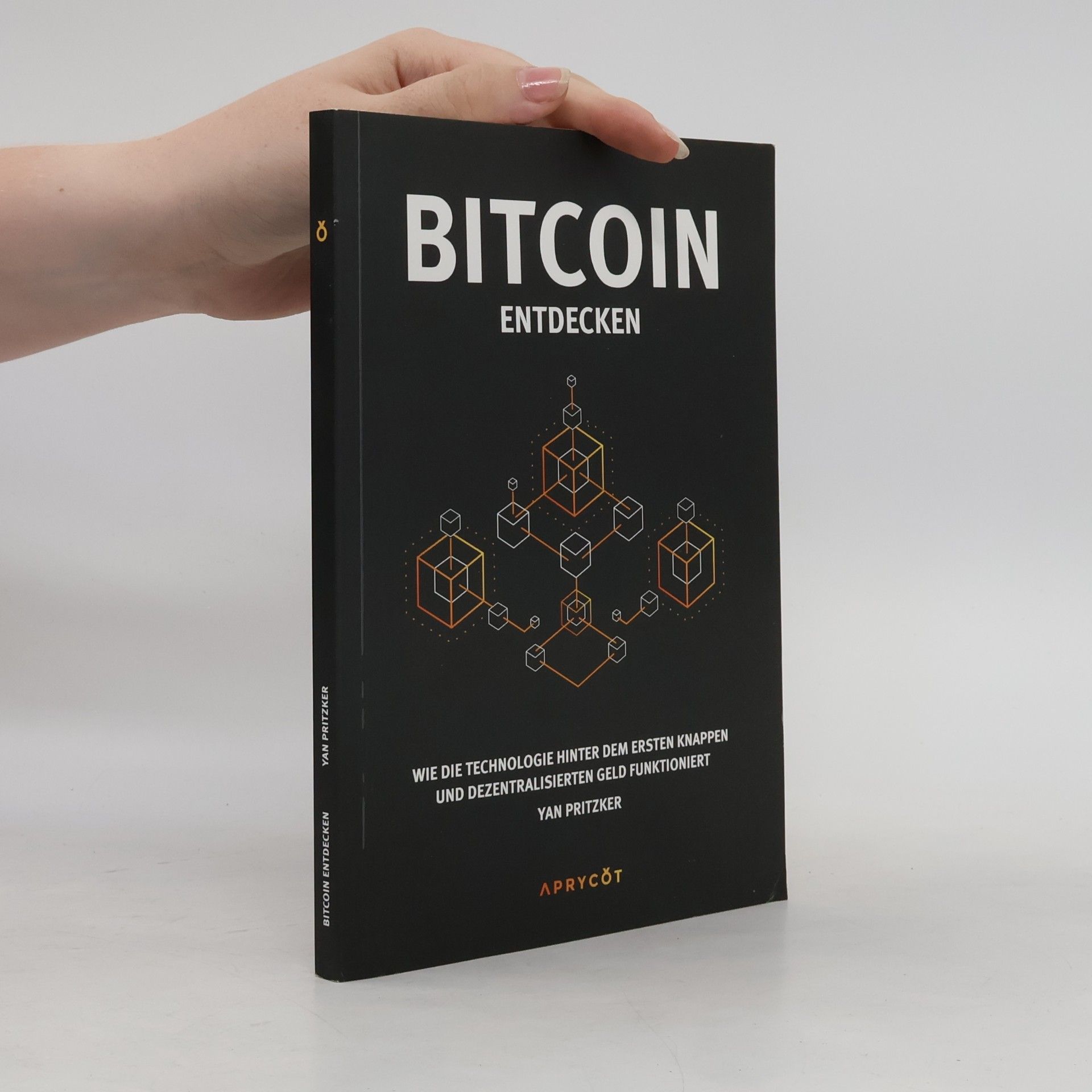Yan Pritzker Bitcoin entdecken
