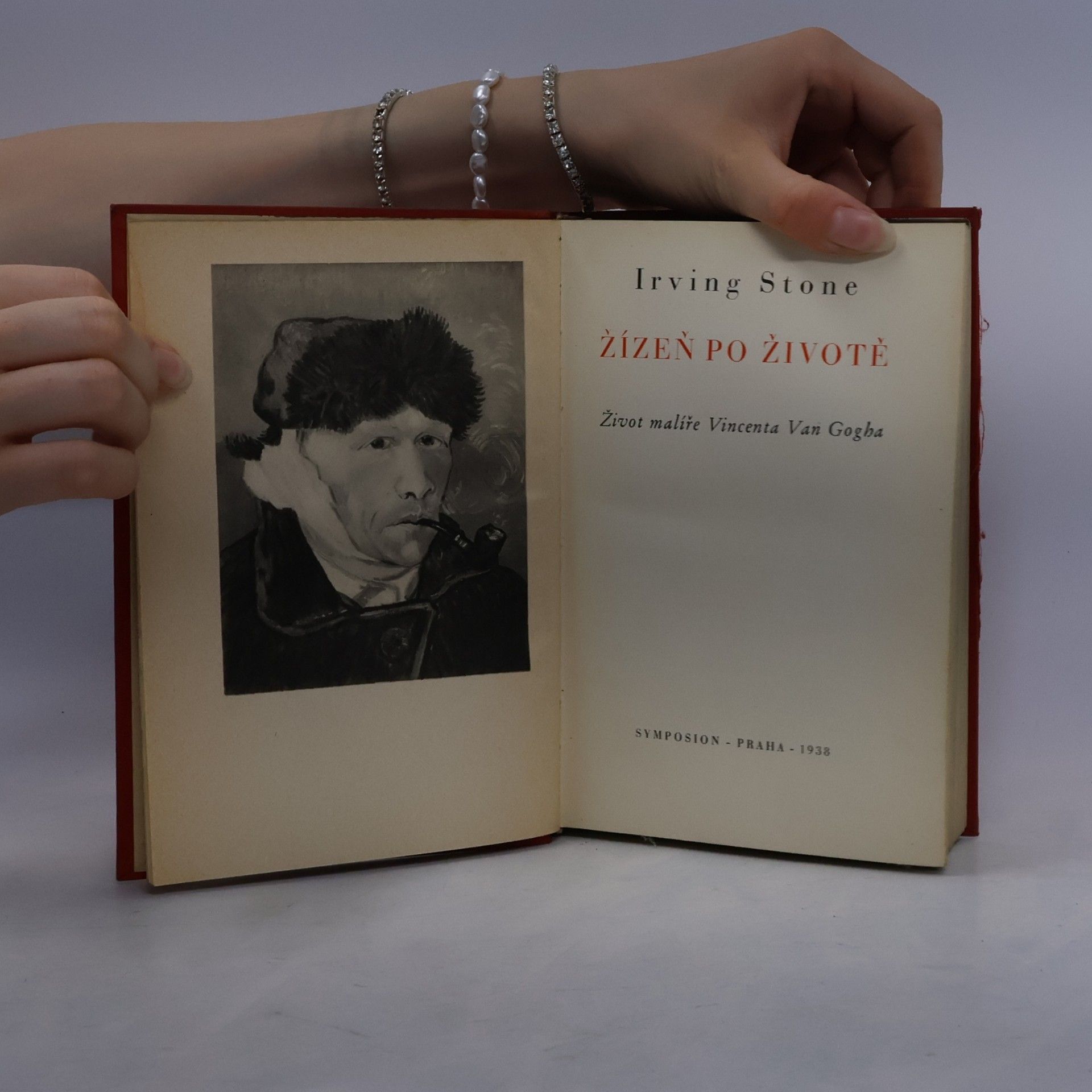Irving Stone Žízeň po životě. Život malíře Vincenta Van Gogha
