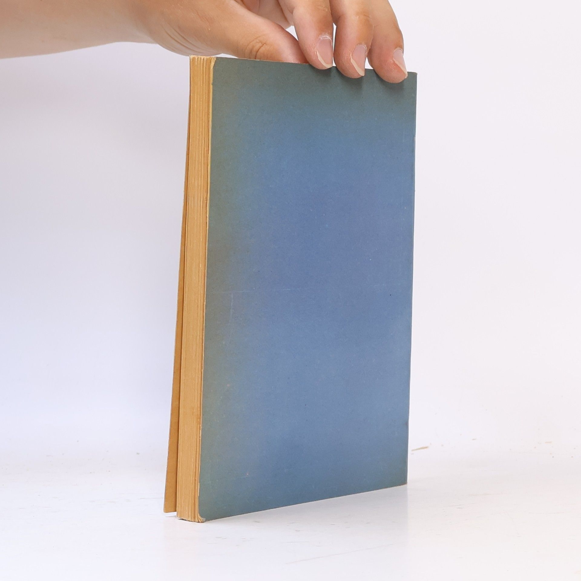 Ove Brusendorff Libro de los cuadros del amor Vol 3