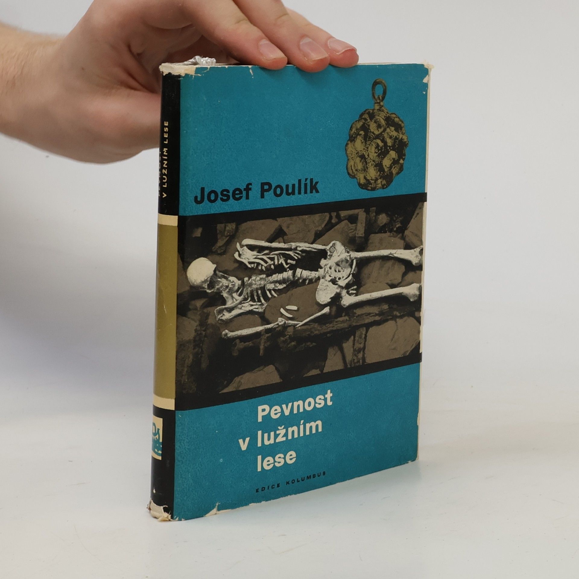 Josef Poulík Pevnost v lužním lese