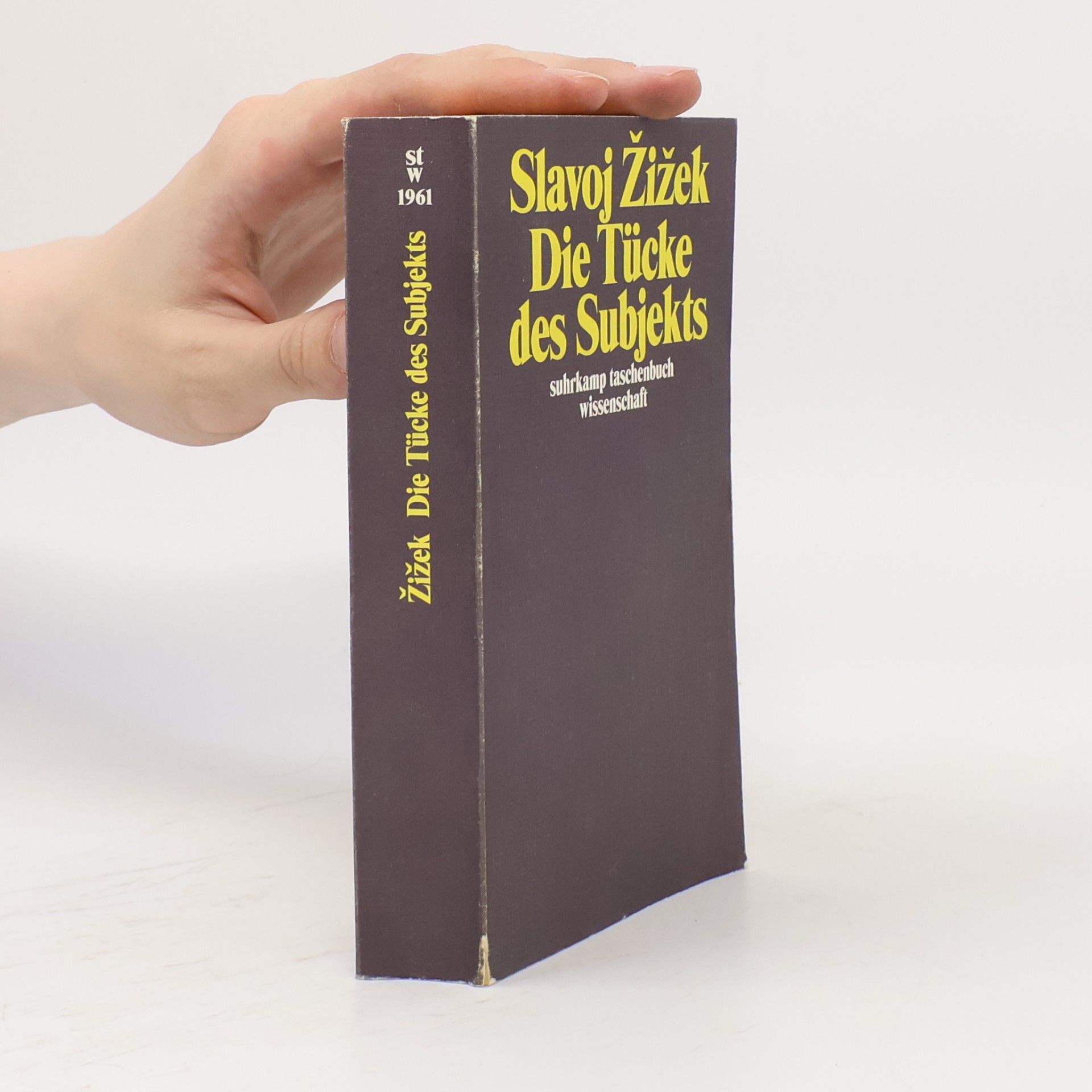 Slavoj Žižek Die Tücke des Subjekts