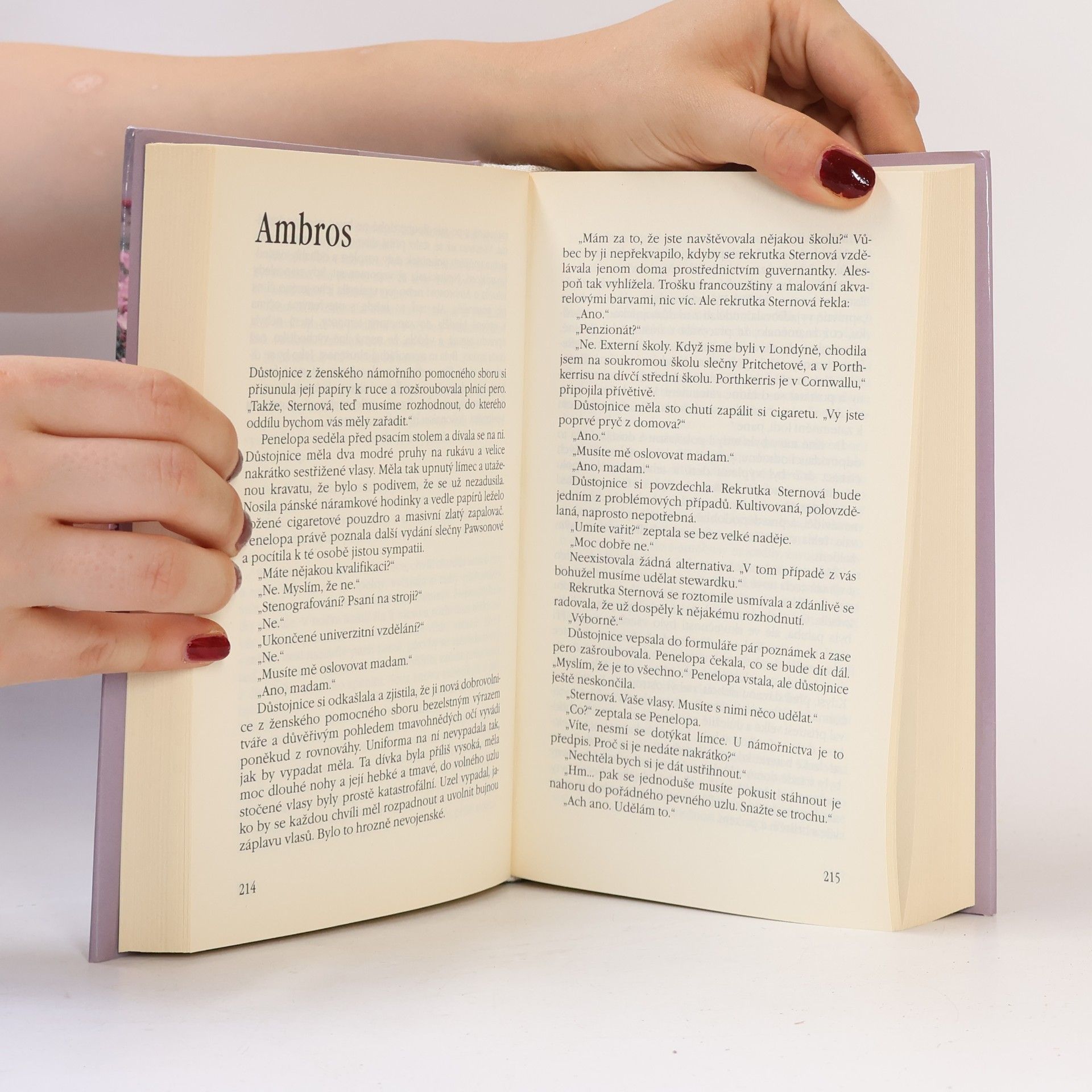 Rosamunde Pilcher Hledači mušlí