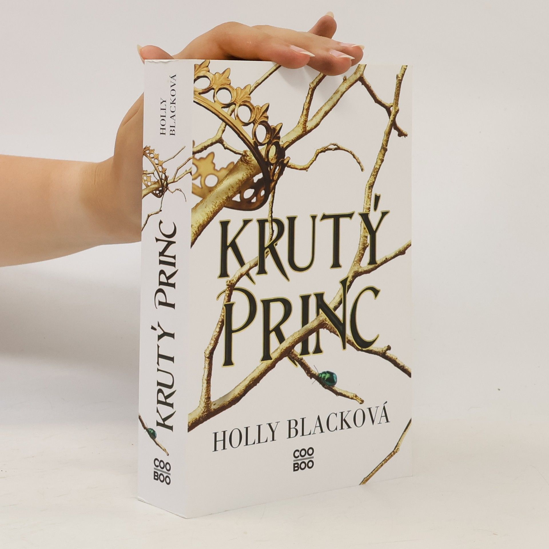 Holly Black Krutý princ