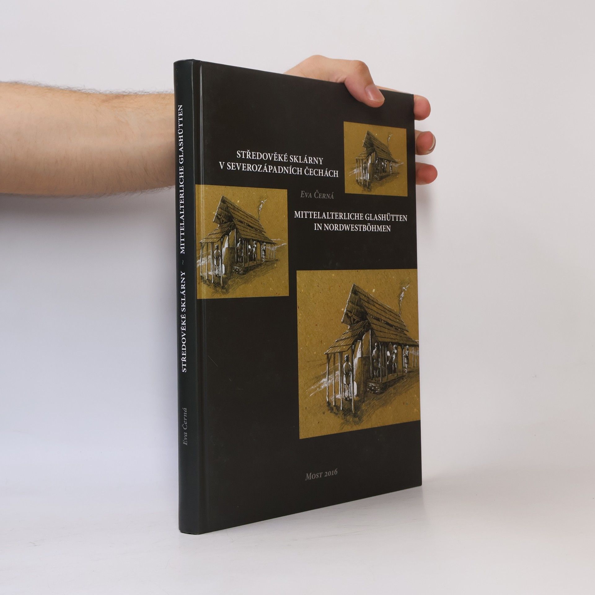 Eva Černá Středověké sklárny v severozápadních Čechách
