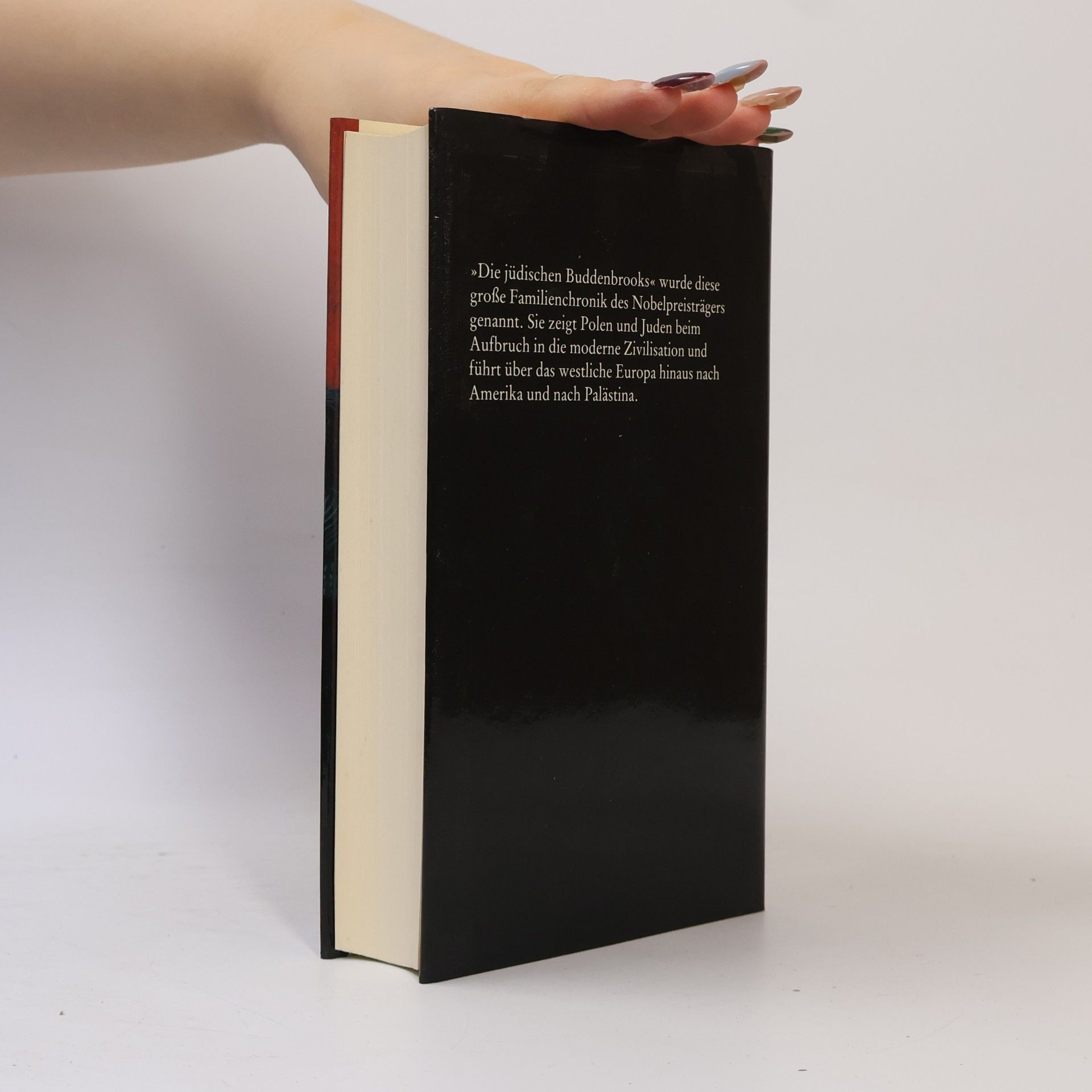 Isaac Bashevis Singer Das Erbe