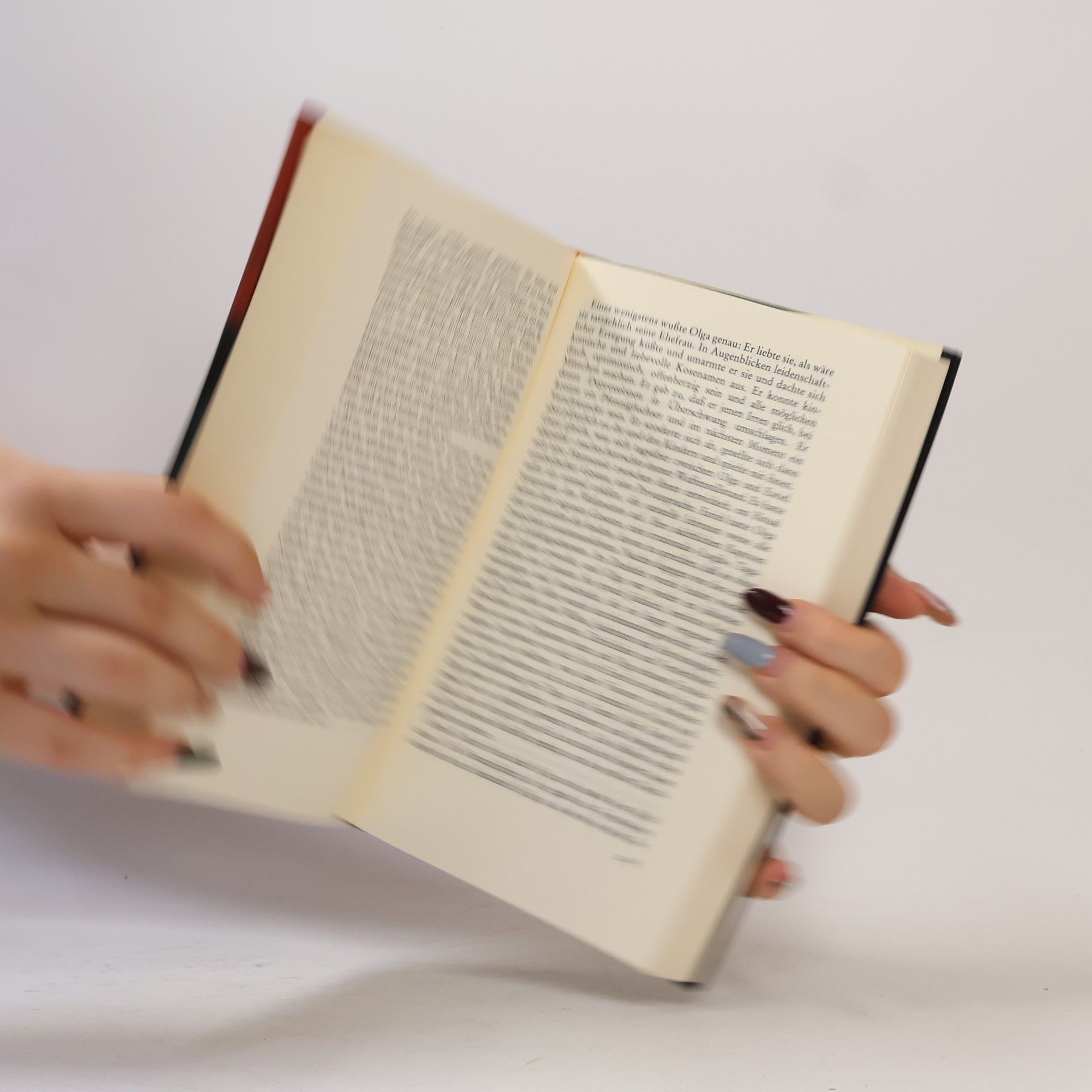 Isaac Bashevis Singer Das Erbe