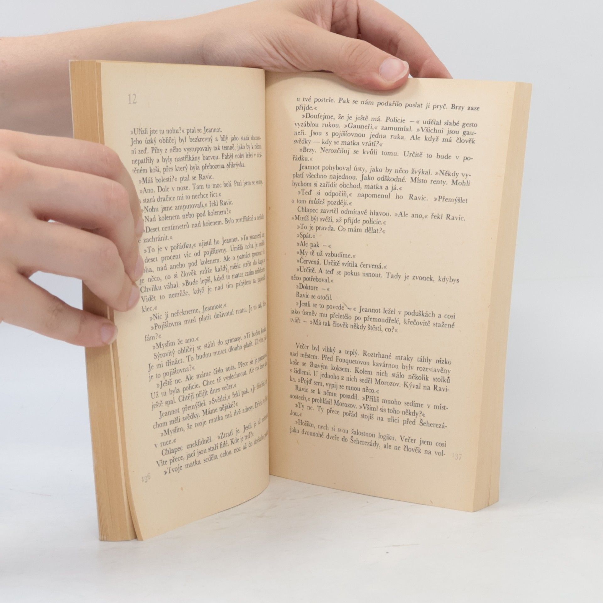 Erich Maria Remarque Vítězný oblouk